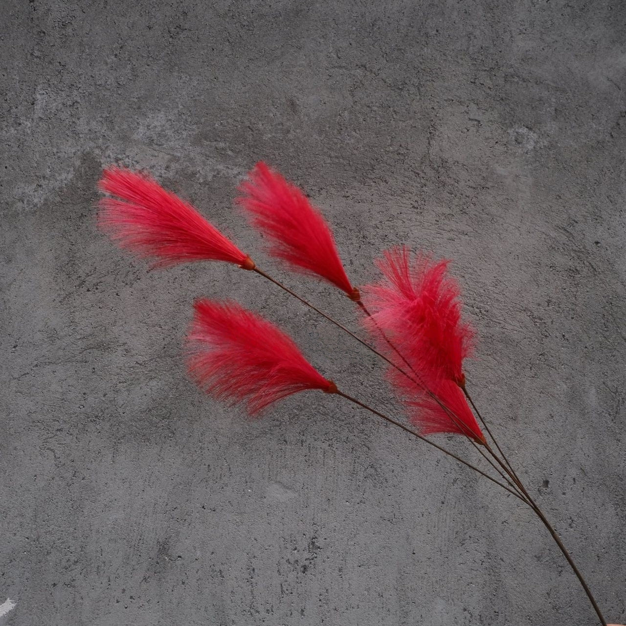 Valar Flower Dopamine Decor Bunny Tails – 5-Head Faux Feather Grass for Vases, Boho & Pastel Interiors FS-1071