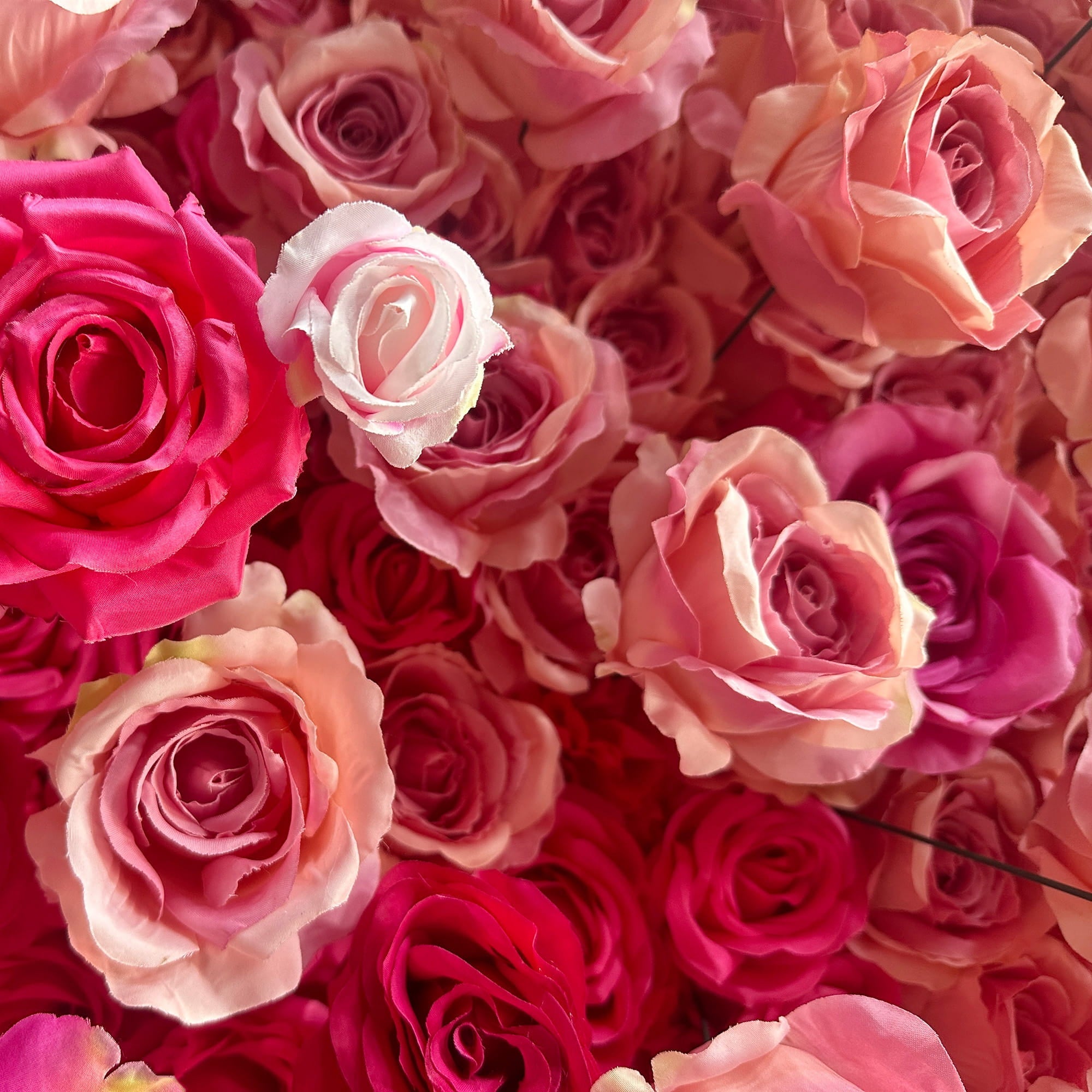 This image showcases a vibrant collection of artificial roses. The flowers display a gradient of colors, ranging from deep magenta to soft peach and delicate pink - white hues. The roses are densely packed, creating a lush and visually appealing arrangement. The overall style is romantic and elegant, making it ideal for event decorations such as weddings or photo - backdrops.