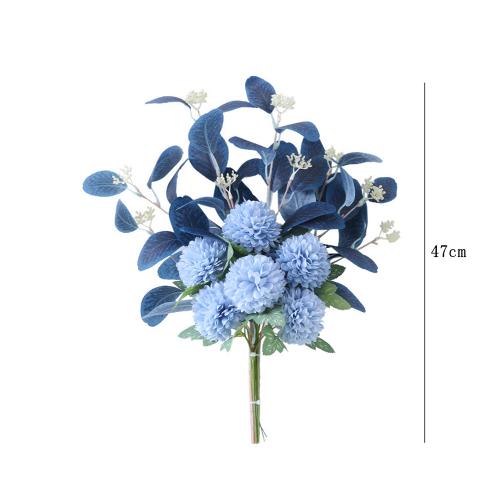 Globe Amaranth flower10