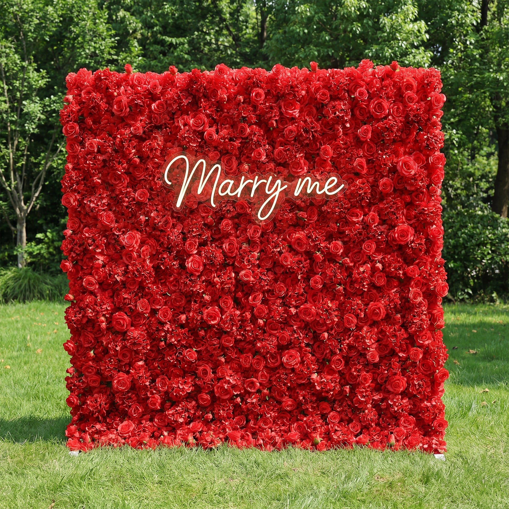 Red rose wall with 'Marry me' text in a garden setting