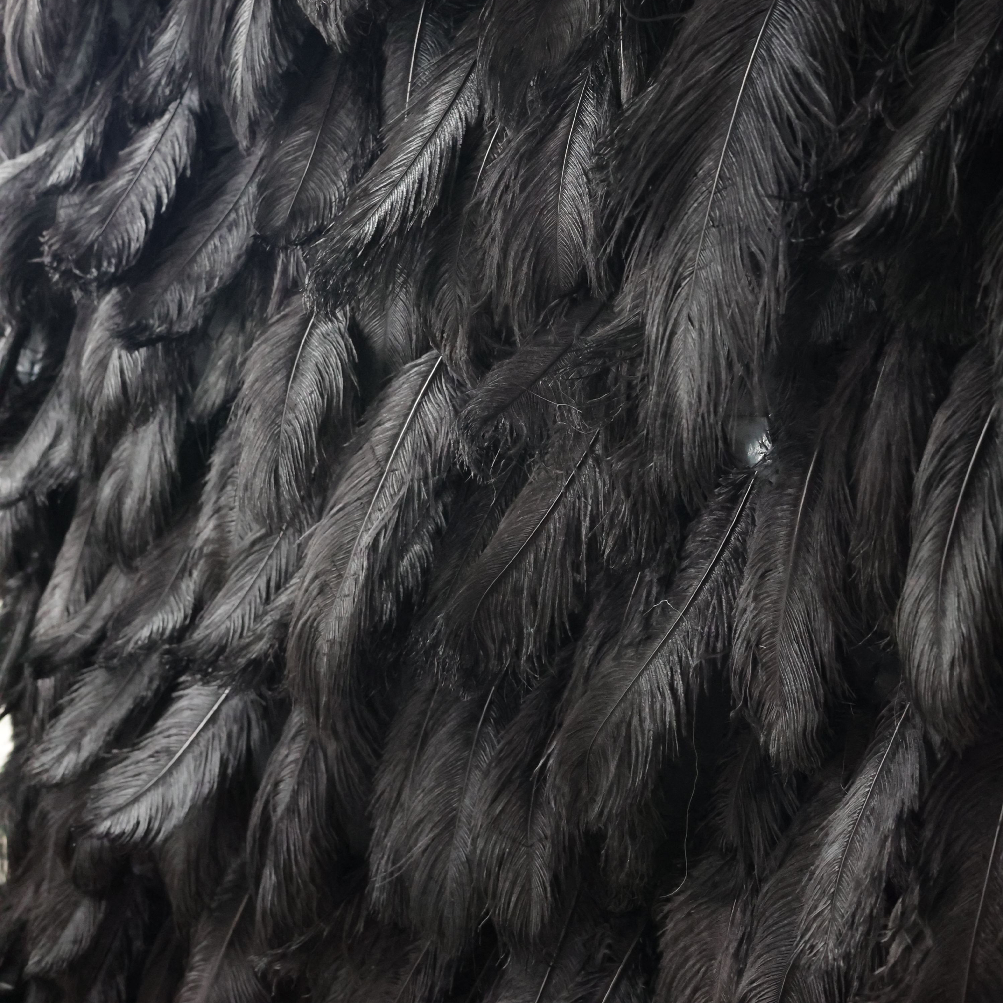 우아한 흰색 타조 깃털 벽 배경 - 롤업 패브릭 벽 - 신부 파티 장식 - 결혼식 장소 축하 꽃 벽 -VF-164