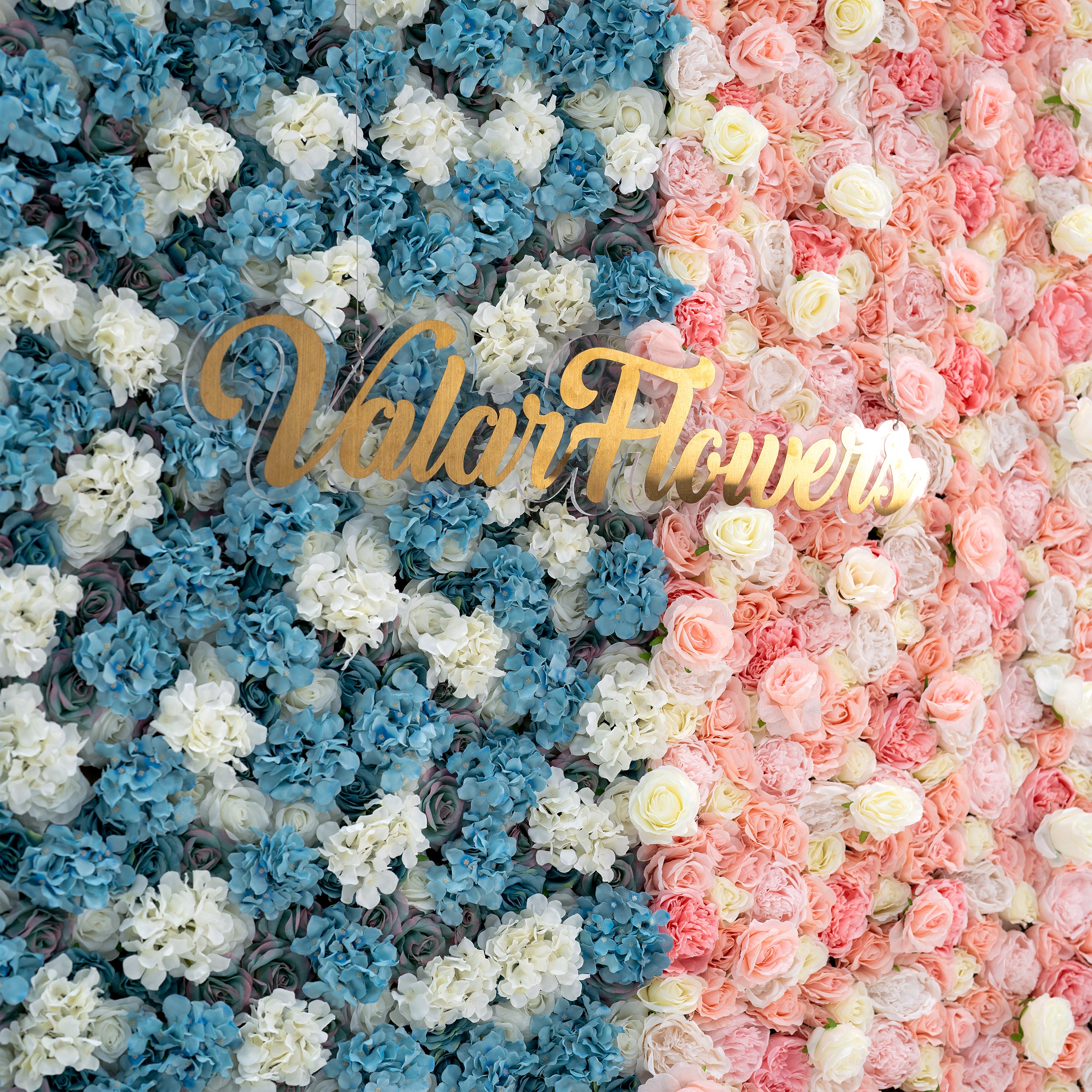 Fondo de Pared de Flores para Baby Shower - Pared de Flores de Tela Enrollable Azul y Rosa - Decoración para Fiesta de Revelación de Género y Celebración