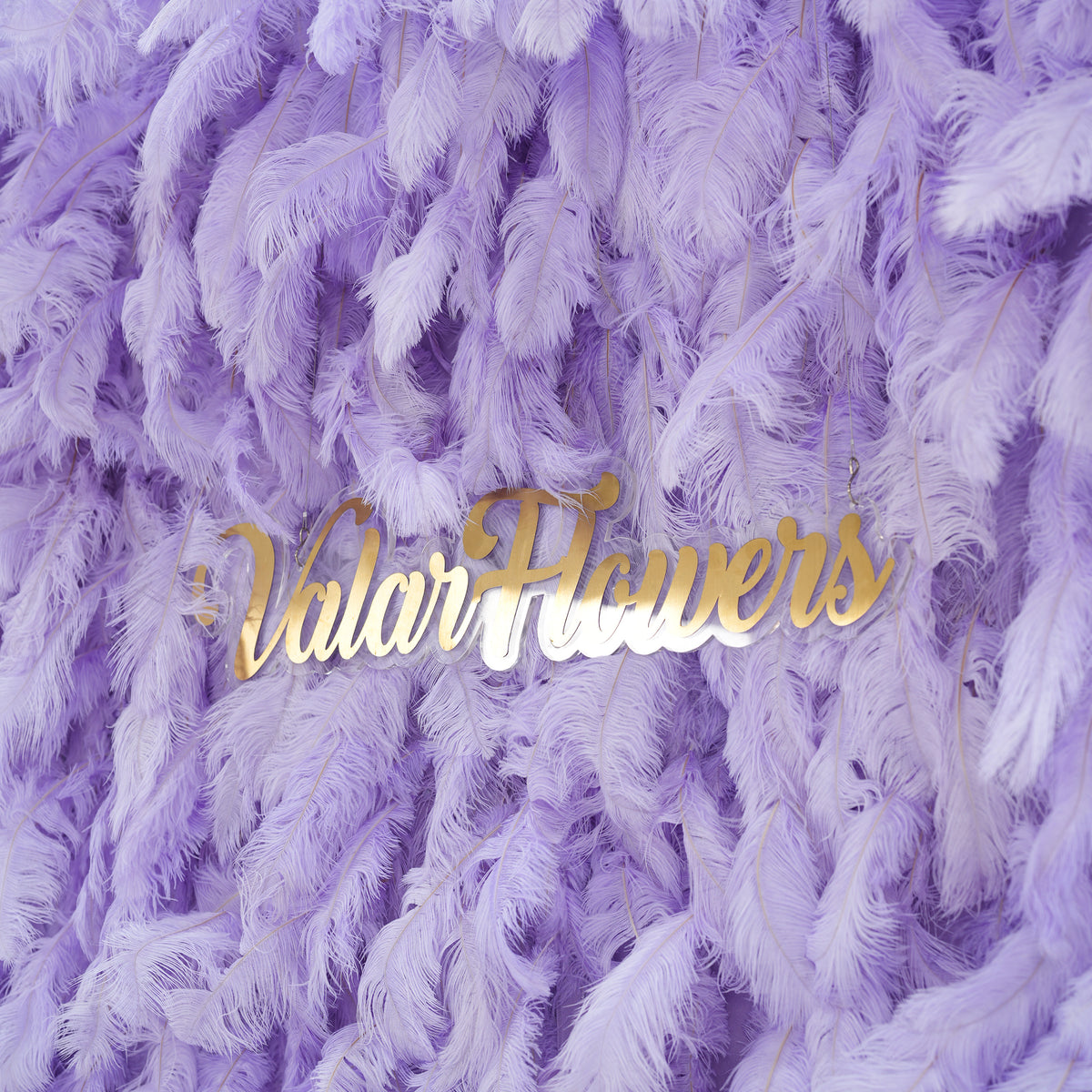 Fondo de Pared Elegante de Plumas de Avestruz Blancas - Tela Enrollable para Pared - Decoración para Fiesta Nupcial - Lugares de Boda Celebración Pared Floral-VF-164