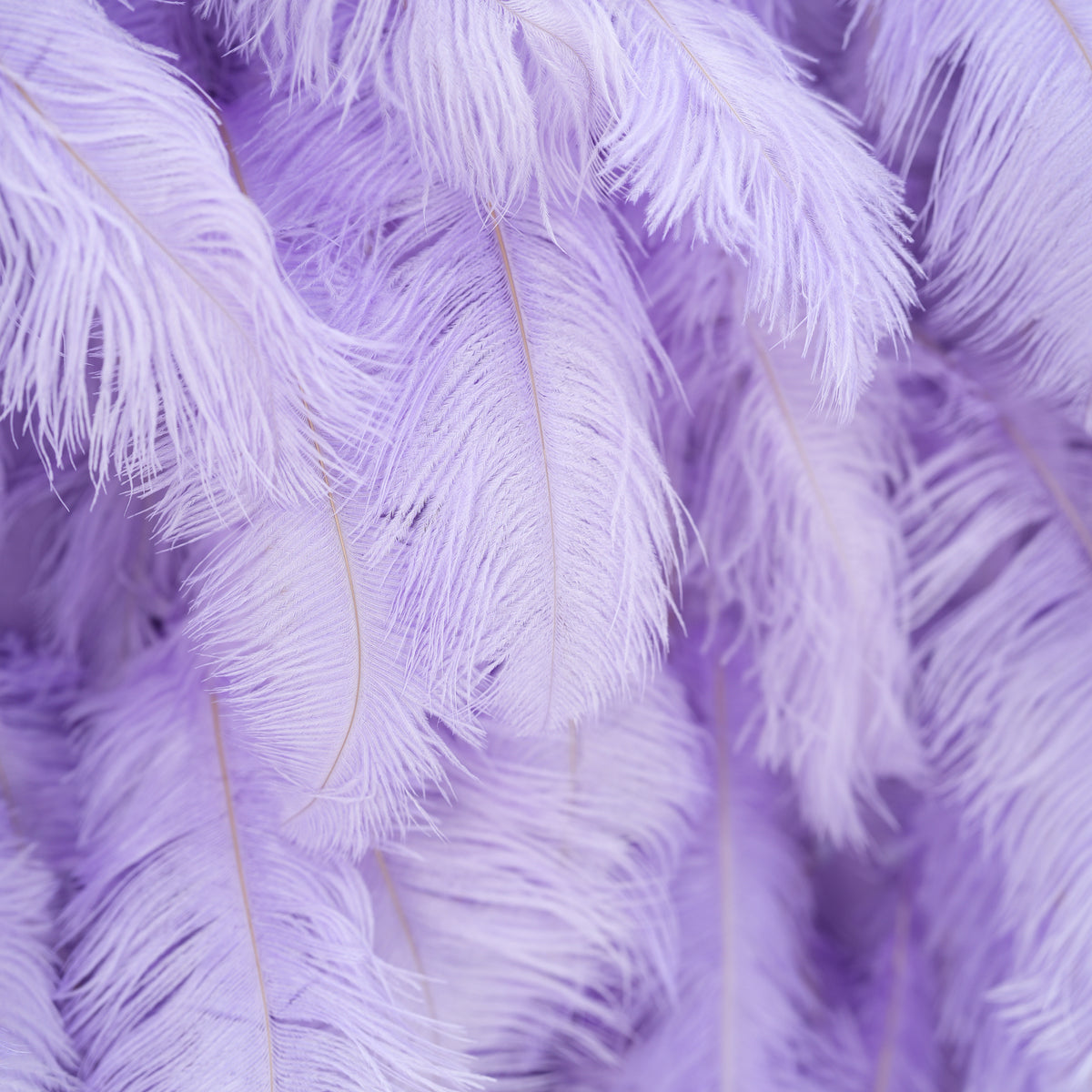 Fondo de Pared Elegante de Plumas de Avestruz Blancas - Tela Enrollable para Pared - Decoración para Fiesta Nupcial - Lugares de Boda Celebración Pared Floral-VF-164