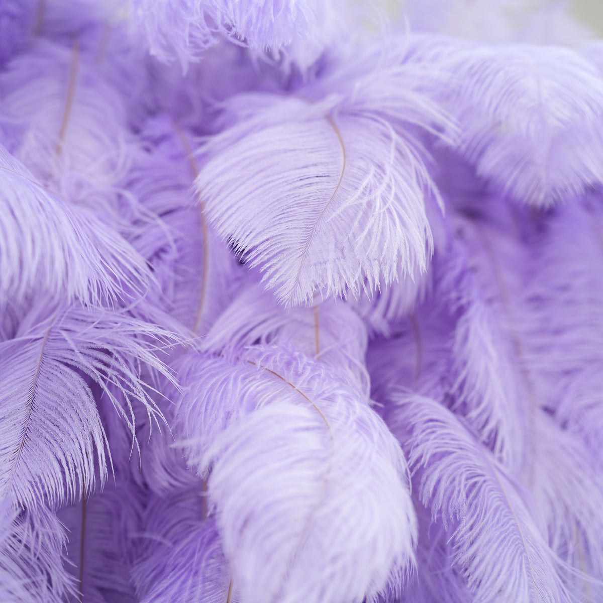 Fondo de Pared Elegante de Plumas de Avestruz Blancas - Tela Enrollable para Pared - Decoración para Fiesta Nupcial - Lugares de Boda Celebración Pared Floral-VF-164