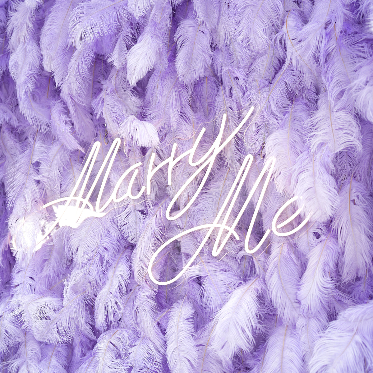 Fondo de Pared Elegante de Plumas de Avestruz Blancas - Tela Enrollable para Pared - Decoración para Fiesta Nupcial - Lugares de Boda Celebración Pared Floral-VF-164