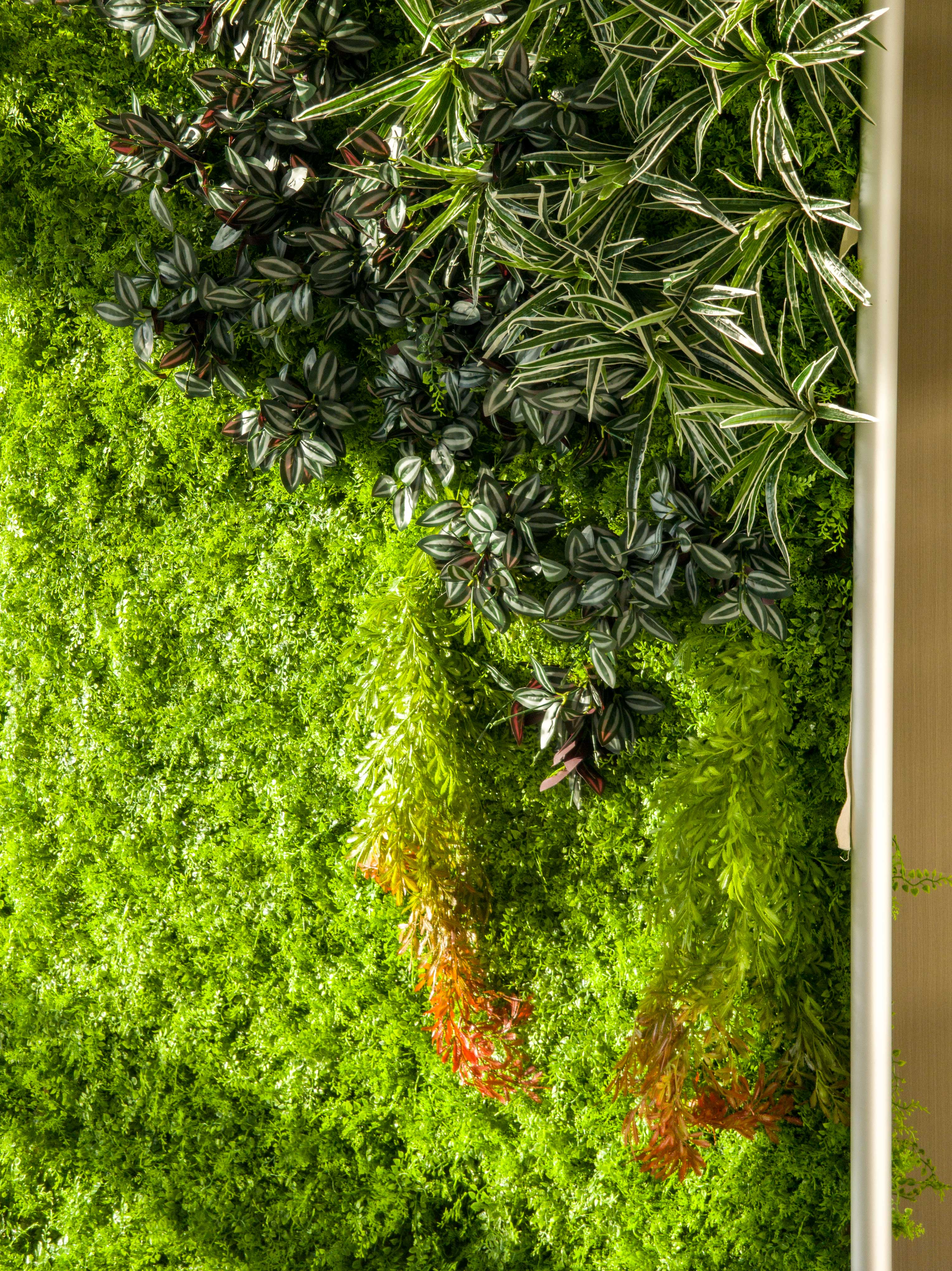 Valar 꽃 롤 패브릭 인공 생생한 녹색 잔디 벽 웨딩 배경, 꽃 파티 장식, 이벤트 사진-VF-086-3