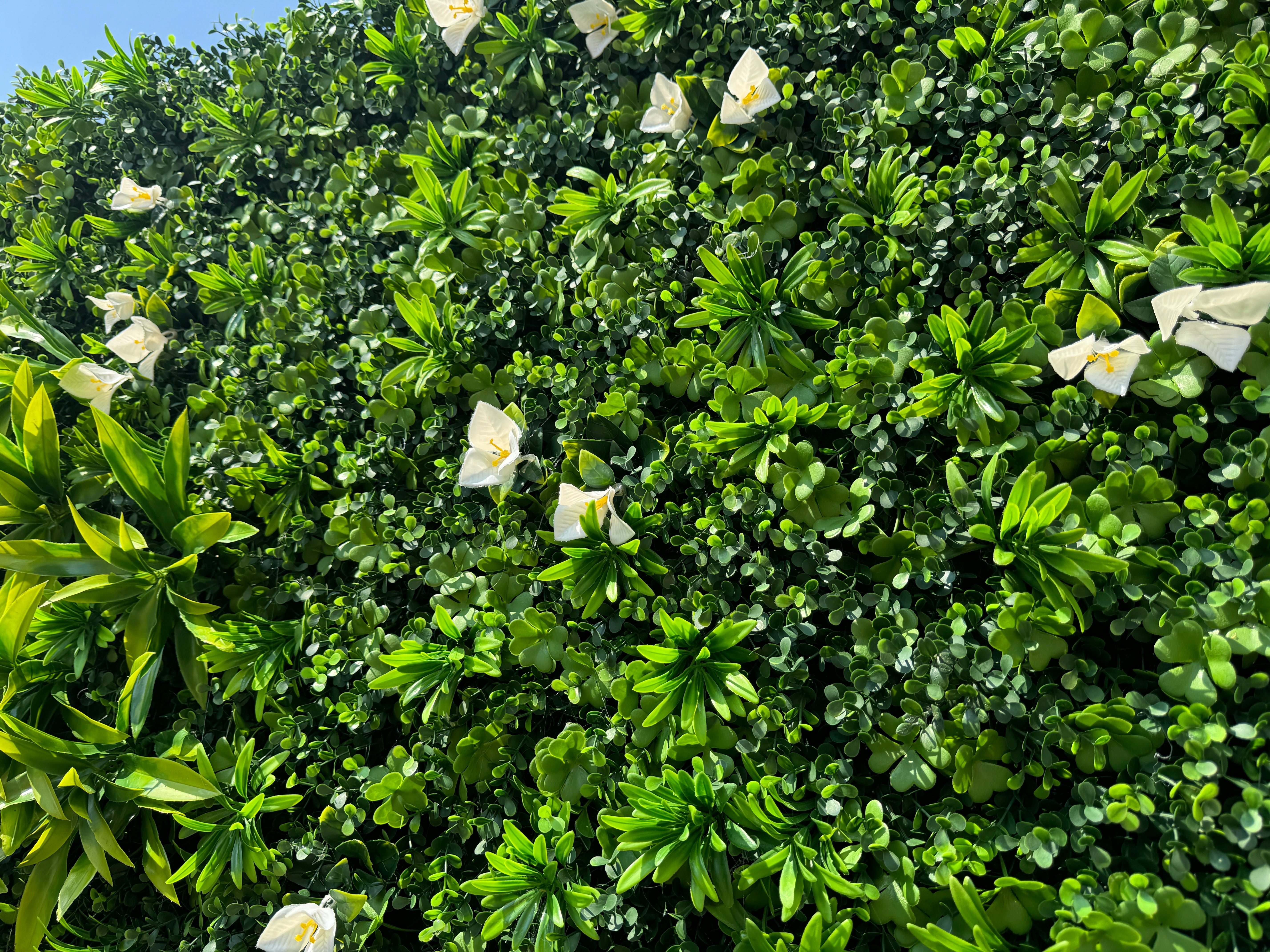 Roll Up Fabric Artificial Vivid Green Grass Wall Wedding Backdrop, Floral Party Decor, Event Photography-VF-086-42