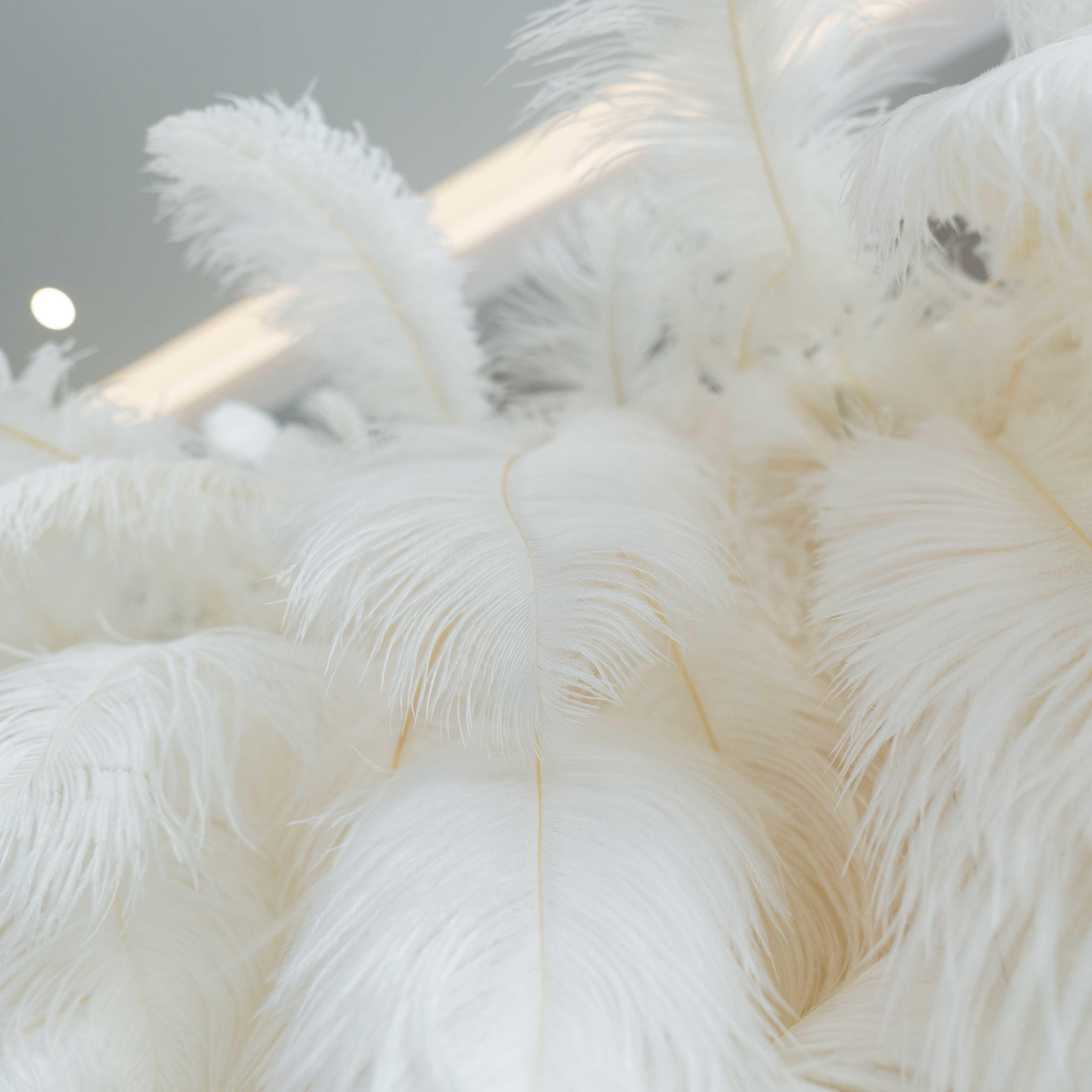 우아한 흰색 타조 깃털 벽 배경 - 롤업 패브릭 벽 - 신부 파티 장식 - 결혼식 장소 축하 꽃 벽 -VF-164