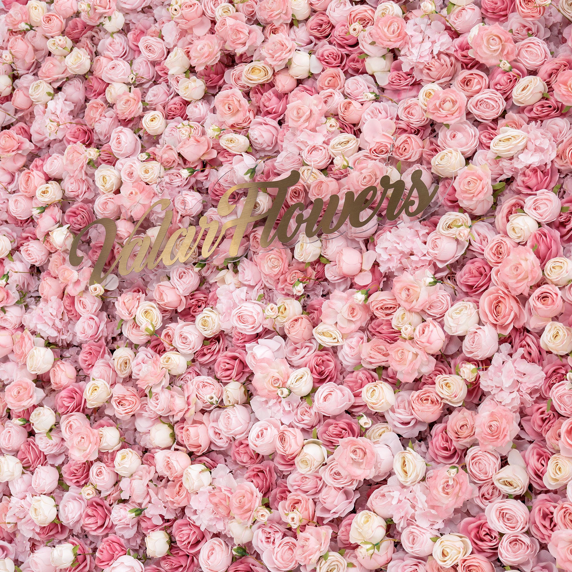 결혼식 및 파티 축하 장식을 위한 5D 핑크 로즈 롤업 꽃 벽 배경 VF-501