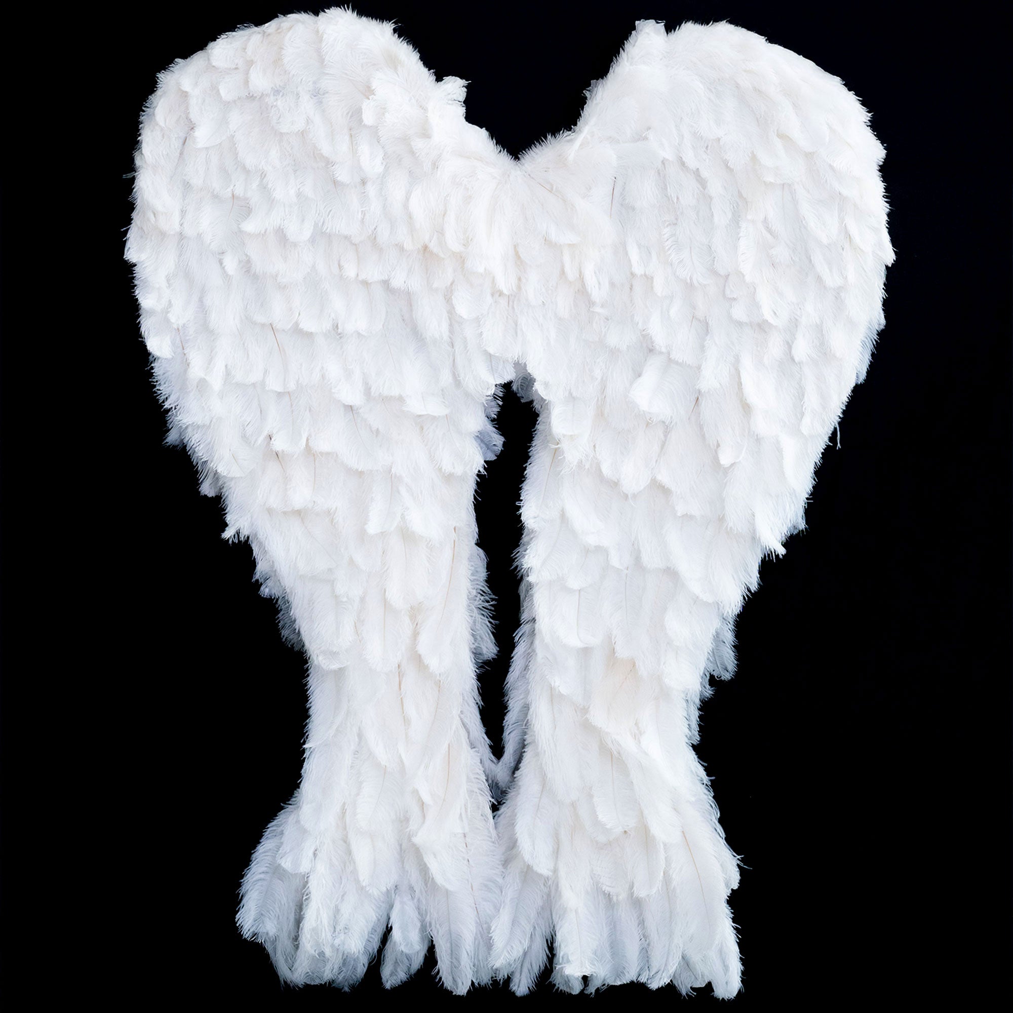 Angel Feather Wings – Real Feather Costume Prop for Photography, Performances, Weddings & Events-1