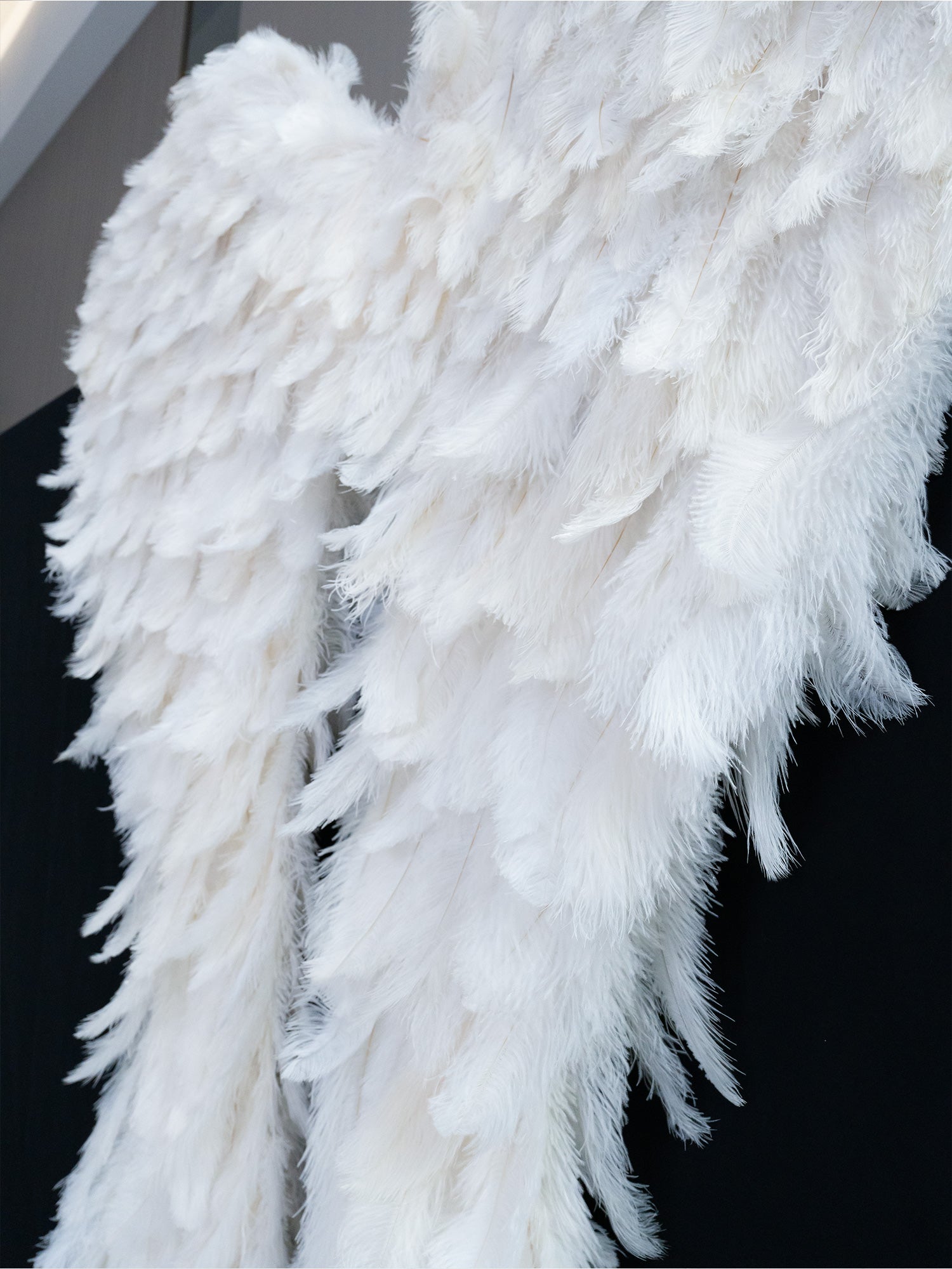 Angel Feather Wings – Real Feather Costume Prop for Photography, Performances, Weddings & Events-2