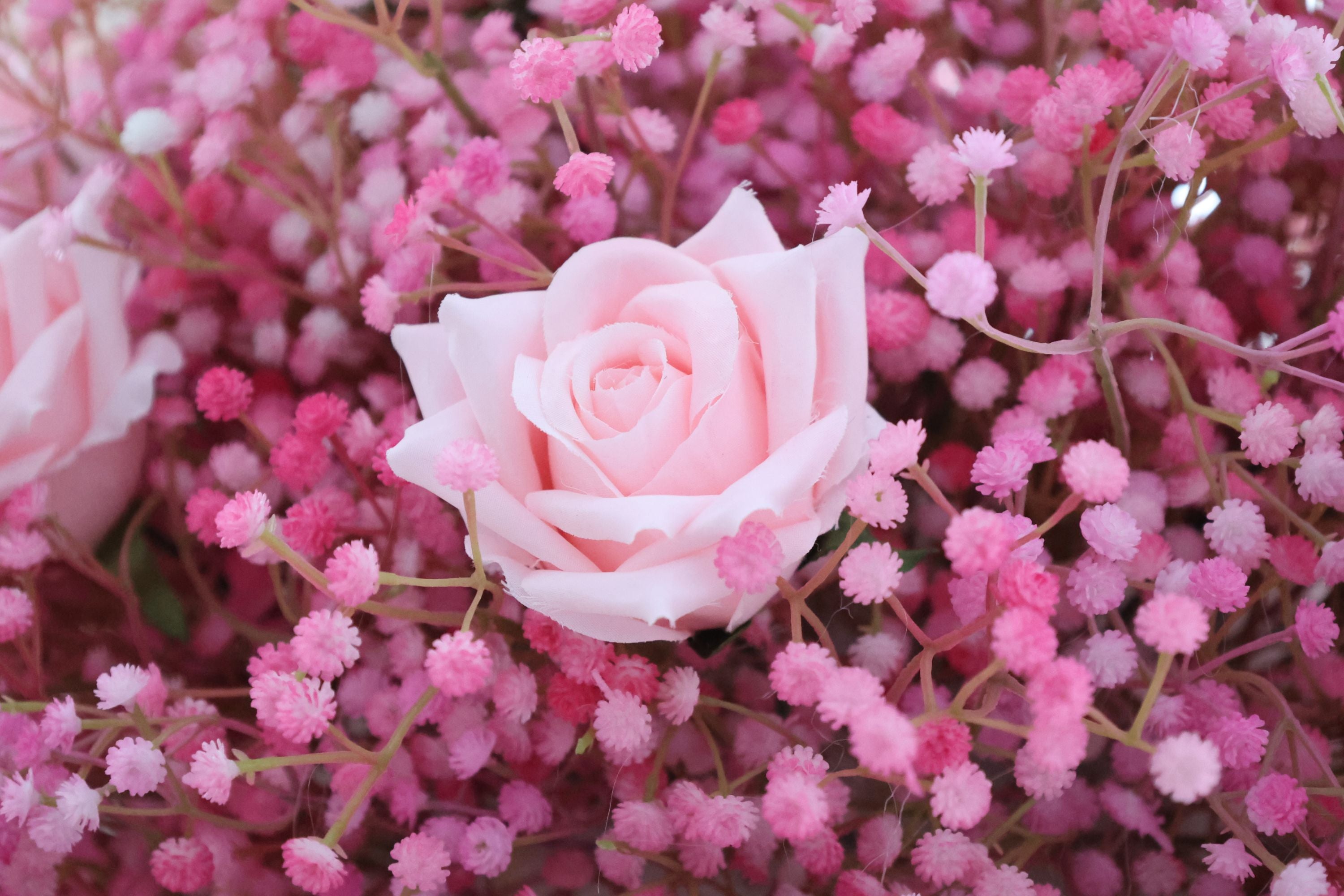 Blushing Harmony - Graceful Pink Roses Nestled in a Cloud of Pink Baby's Breath FB-040