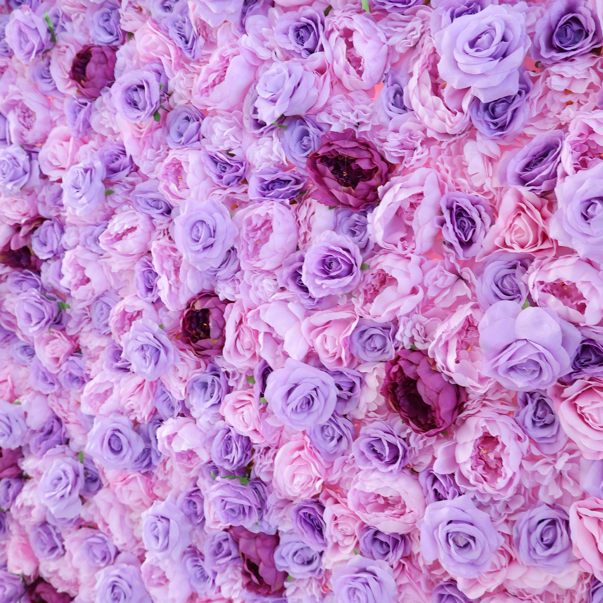 5Dピンクローズロールアップフラワーウォールバックドロップ 結婚式&パーティーセレブレーションデコ VF-501