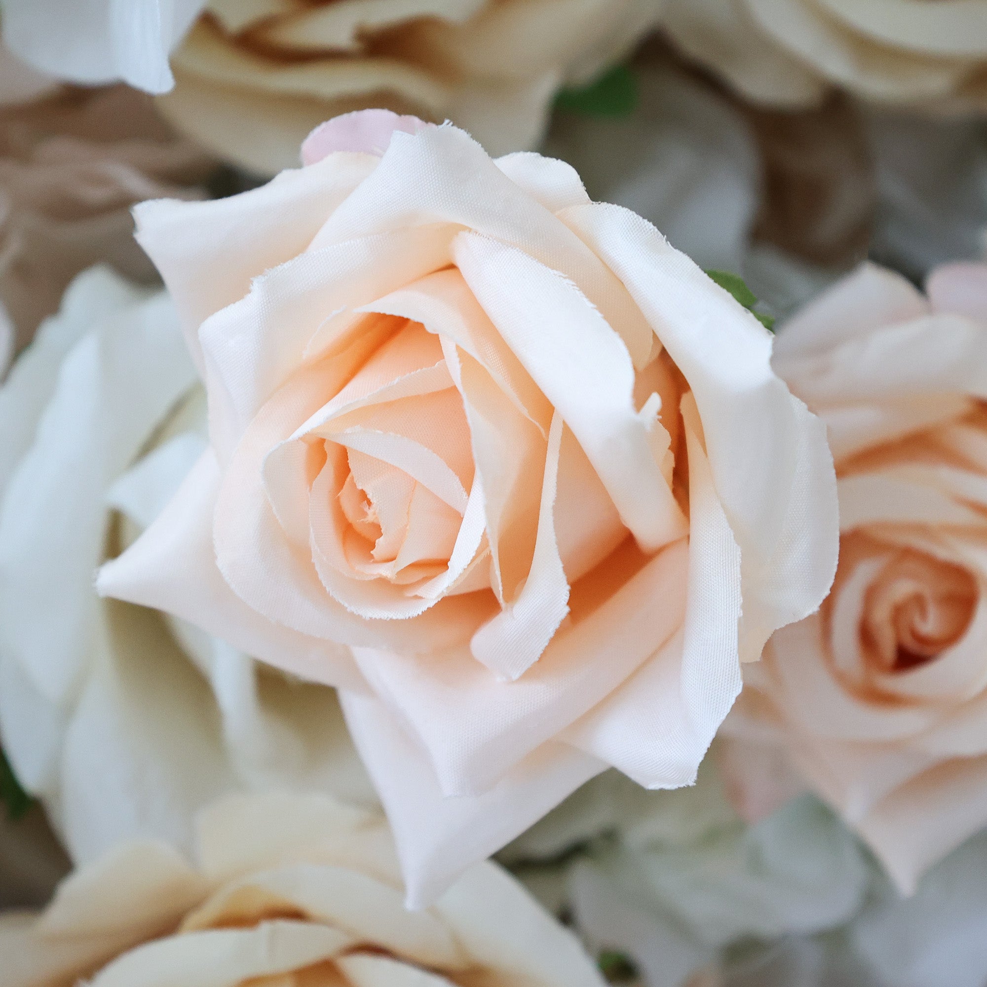 5Dピンクローズロールアップフラワーウォールバックドロップ 結婚式&パーティーセレブレーションデコ VF-501