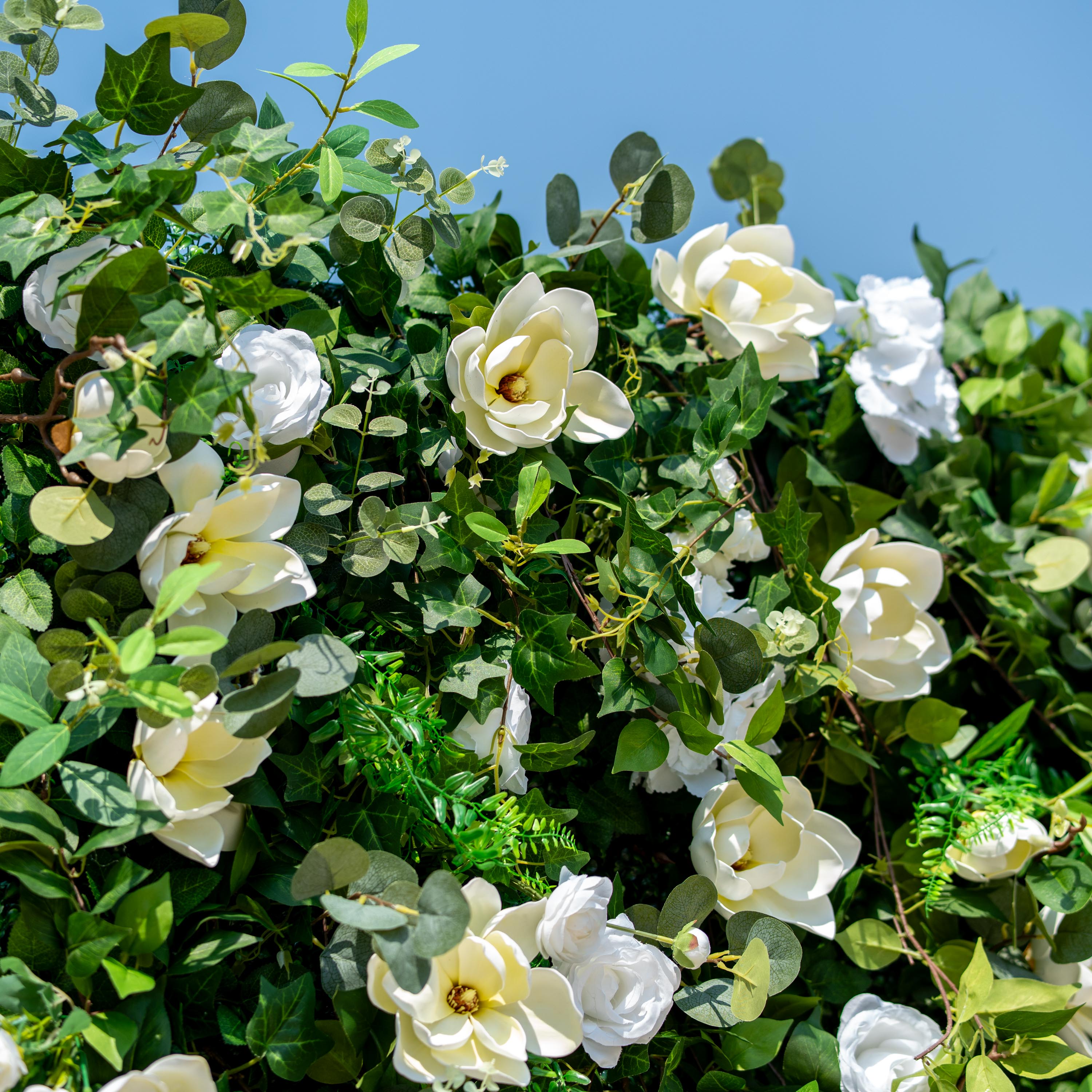 This backdrop features a lush arrangement of artificial foliage interspersed with white flowers. Prominent among the blooms are large, white - petaled flowers resembling magnolias and smaller white roses. The greenery includes various types of leaves, such as eucalyptus - like and fern - like foliage.
The color scheme is a fresh combination of vibrant green leaves and pure white flowers, creating a natural and elegant style. It's ideal for events seeking a touch of nature and sophistication.