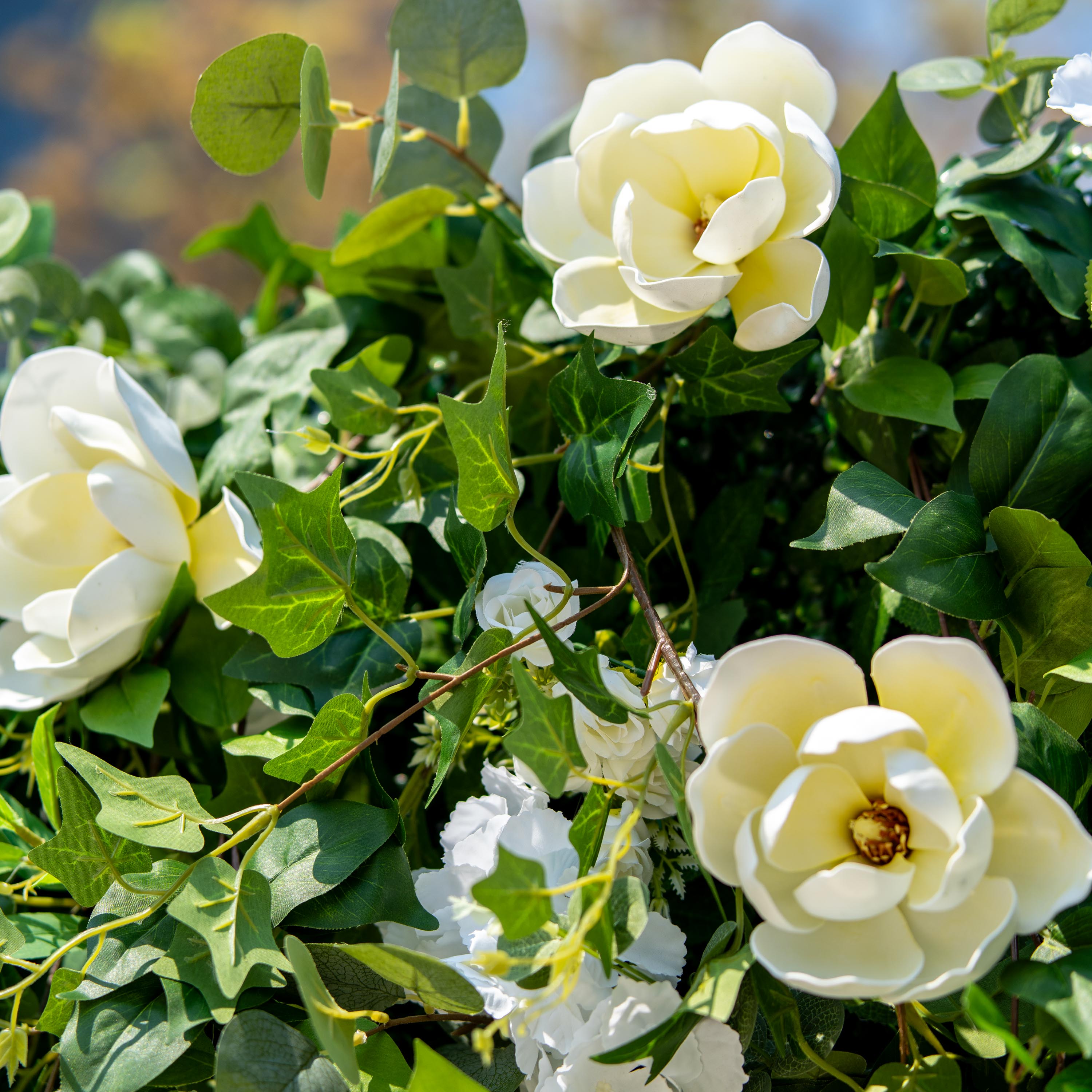 This backdrop features a rich arrangement of artificial foliage and flowers. The flowers include large, creamy - white magnolia - like blooms and smaller white roses. The greenery consists of various types of leaves, such as broad - leafed ivy and round - shaped eucalyptus - like leaves.
The color scheme is dominated by lush green foliage and pure white flowers, creating a natural and elegant style. It's perfect for events that aim for a fresh, sophisticated, and nature - inspired atmosphere.