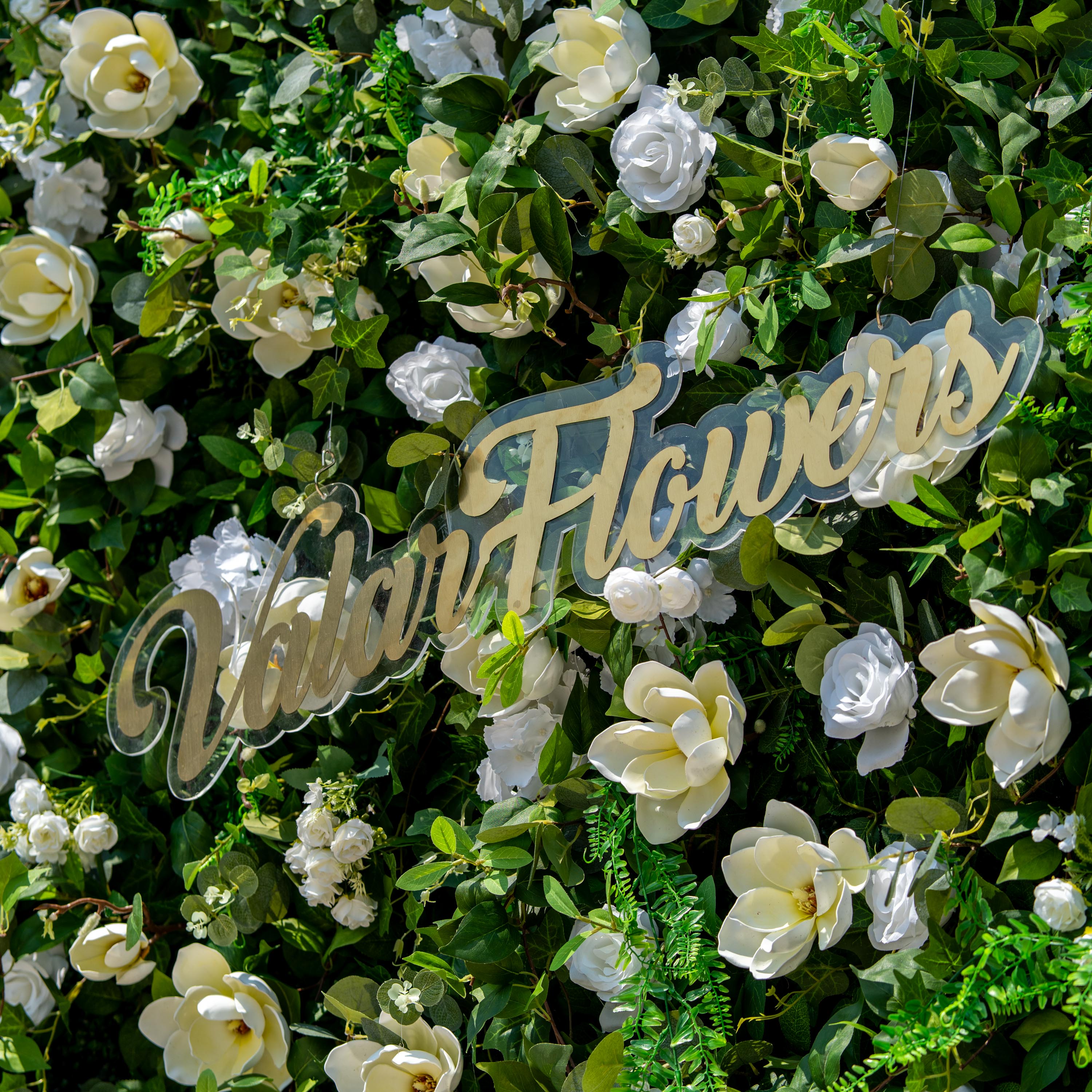 This backdrop is a lush floral arrangement with a mix of white roses, large magnolia - like blooms, and small white clusters resembling hydrangeas, all set against a dense green foliage.
The color scheme is a combination of fresh green and pure white. A transparent sign with the text "Valar Flowers" in elegant golden script adds a touch of sophistication. The overall style is natural and elegant, perfect for events like weddings or garden parties.