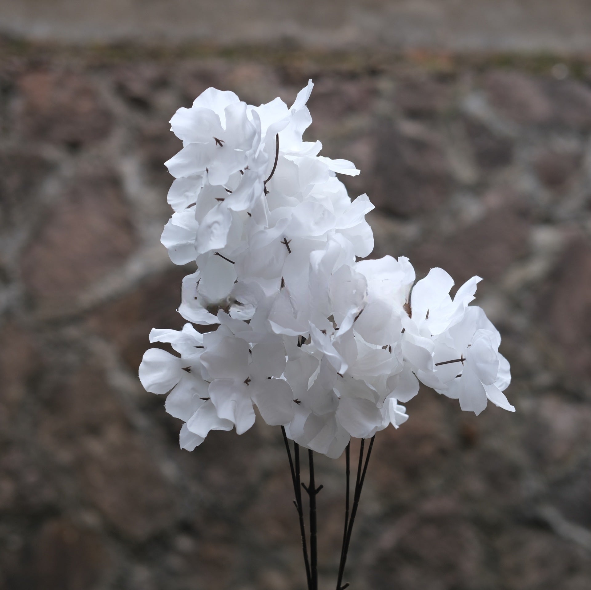White Faux Flower Stems | Minimalist Single Bloom for Home Decor & Styling FS-1003A