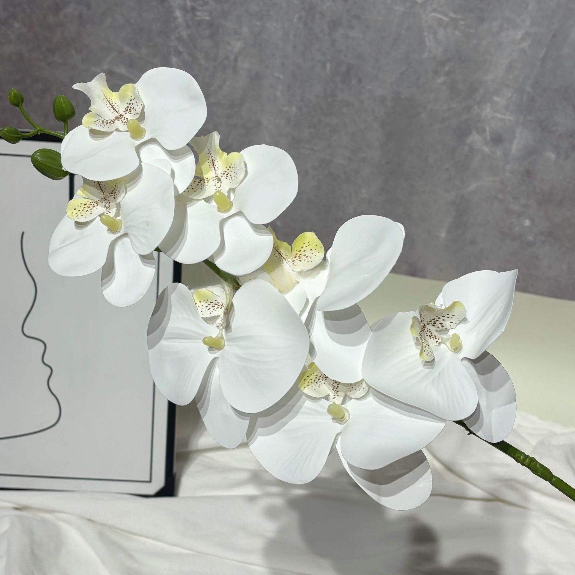 3D Artificial Phalaenopsis Orchid – 7-Head Real Touch Latex Stem for Home & Event Decor FS-1048