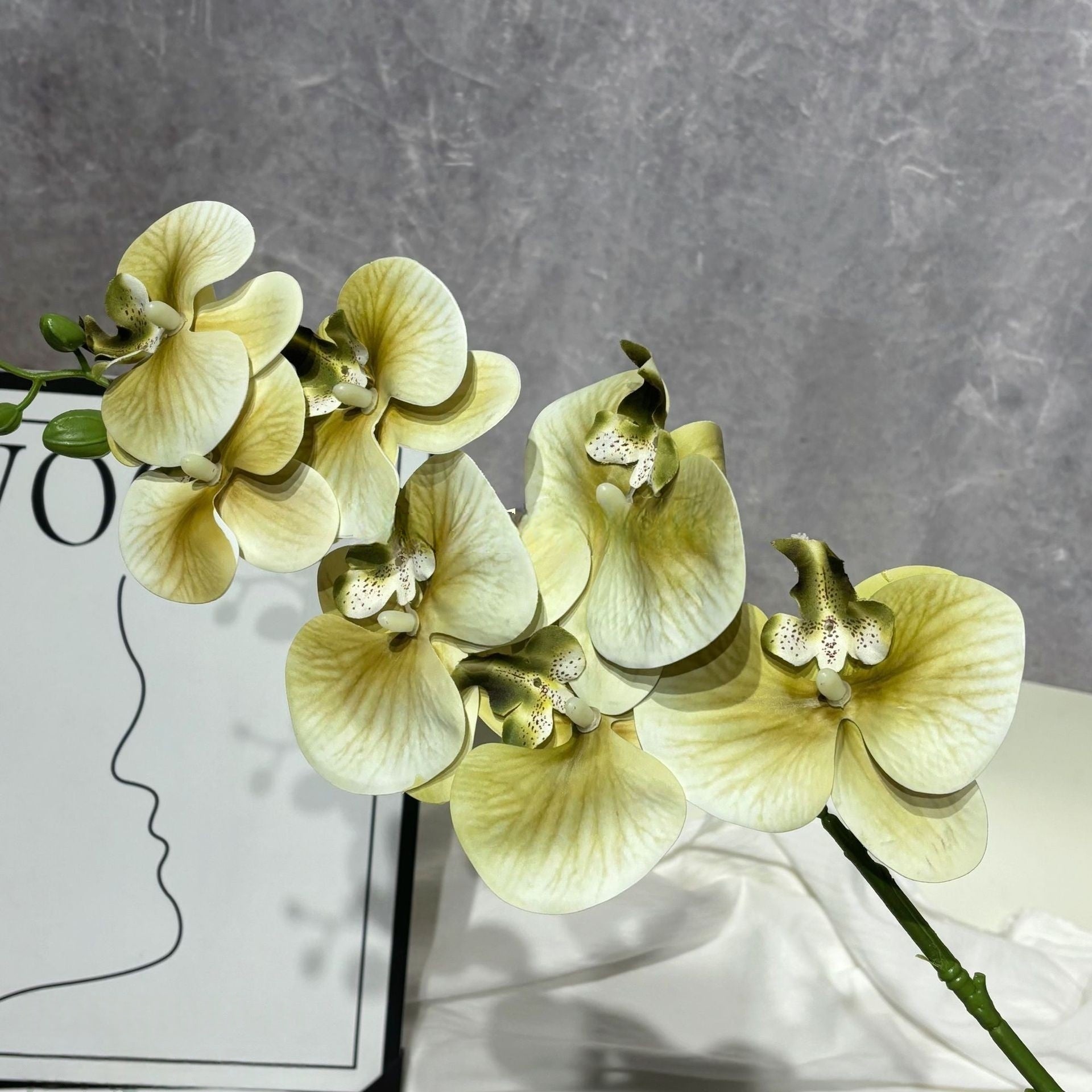 3D Artificial Phalaenopsis Orchid – 7-Head Real Touch Latex Stem for Home & Event Decor FS-1048
