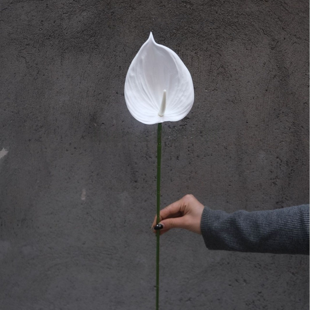 White Faux Flower Stems | Minimalist Single Bloom for Home Decor & Styling FS-1003A