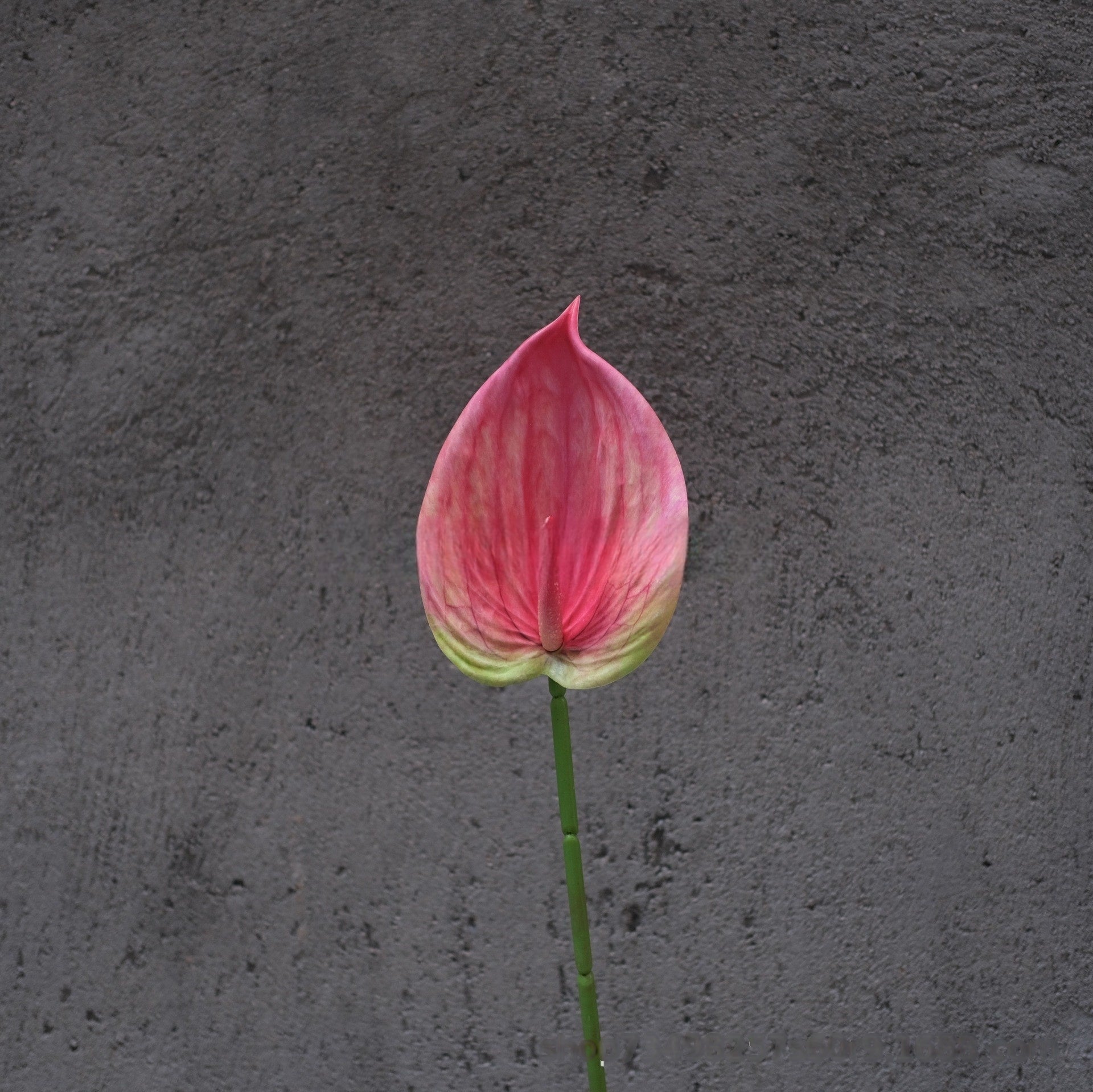 Magenta Pink Faux Flower Stem | Lifelike Single Bloom for Home Decor FS-1010A