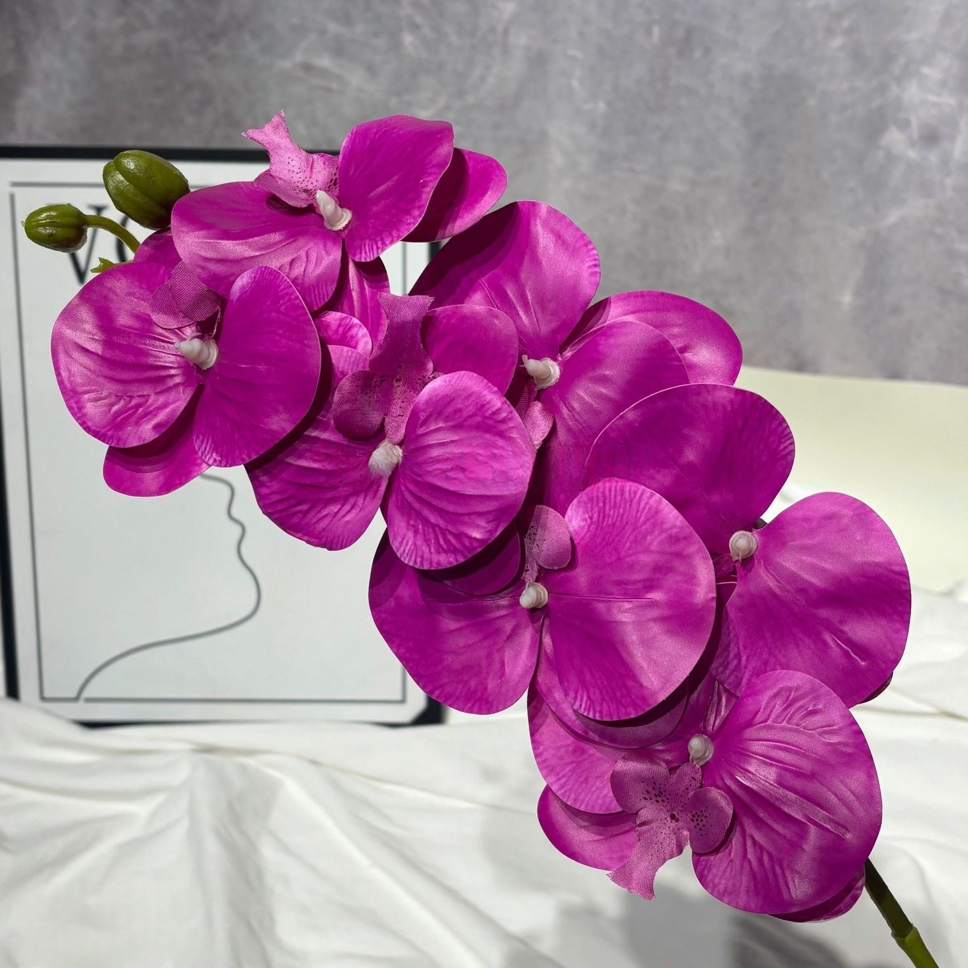3D Artificial Phalaenopsis Orchid – 7-Head Real Touch Latex Stem for Home & Event Decor FS-1048