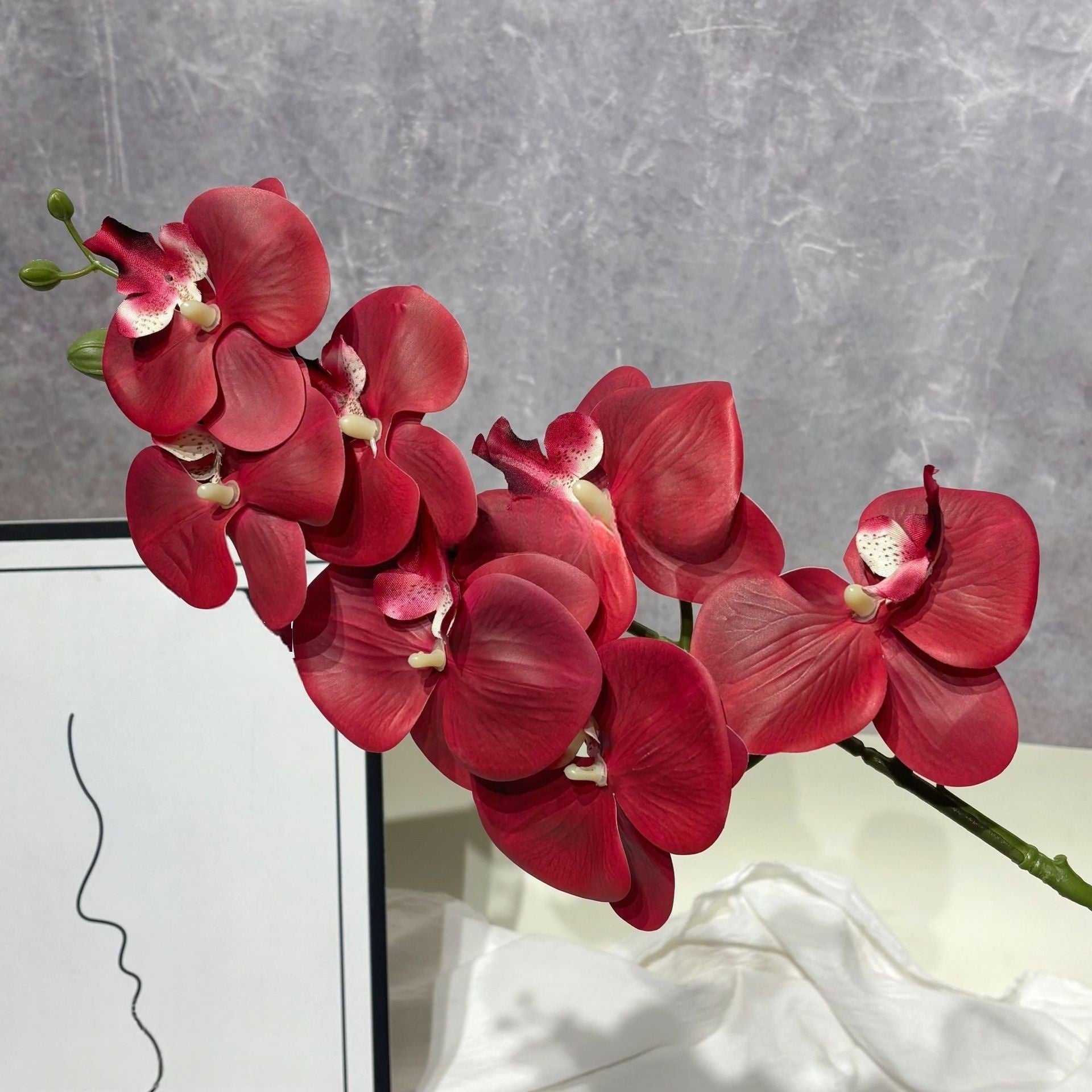 3D Artificial Phalaenopsis Orchid – 7-Head Real Touch Latex Stem for Home & Event Decor FS-1048