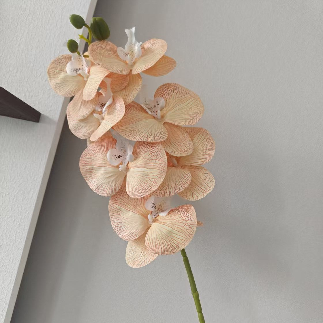 3D Artificial Phalaenopsis Orchid – 7-Head Real Touch Latex Stem for Home & Event Decor FS-1048