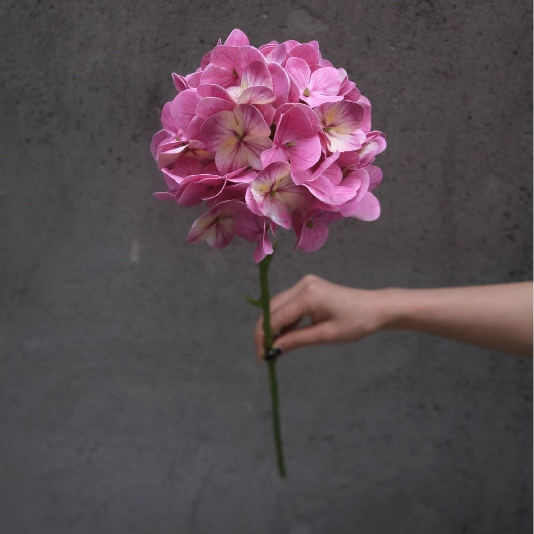 Magenta Pink Faux Flower Stem | Lifelike Single Bloom for Home Decor FS-1010A