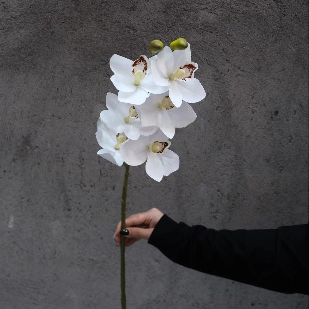 Elegant White Artificial Flower Stem | Simple Faux Floral for Interior Design FS-1003B