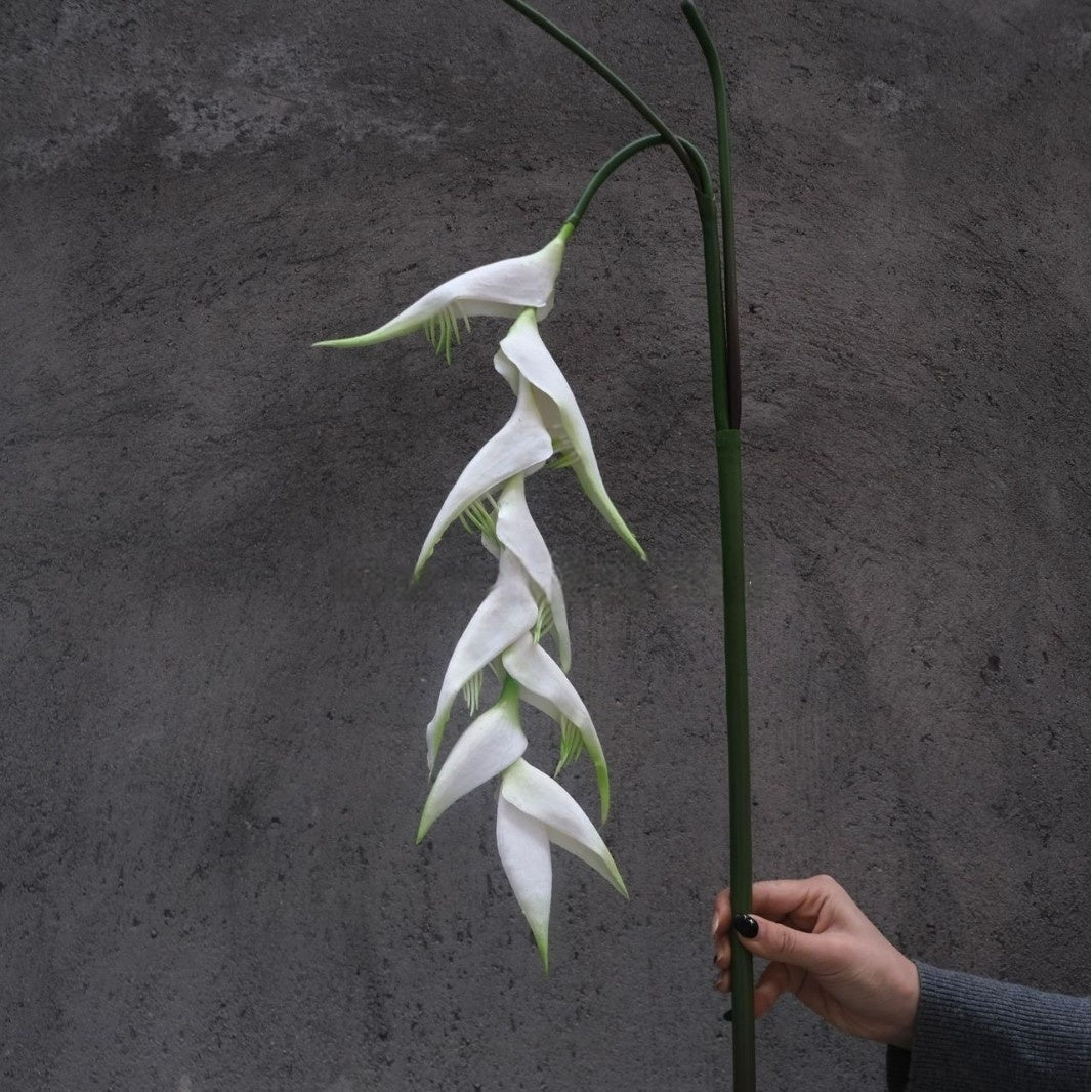 Elegant White Artificial Flower Stem | Simple Faux Floral for Interior Design FS-1003B