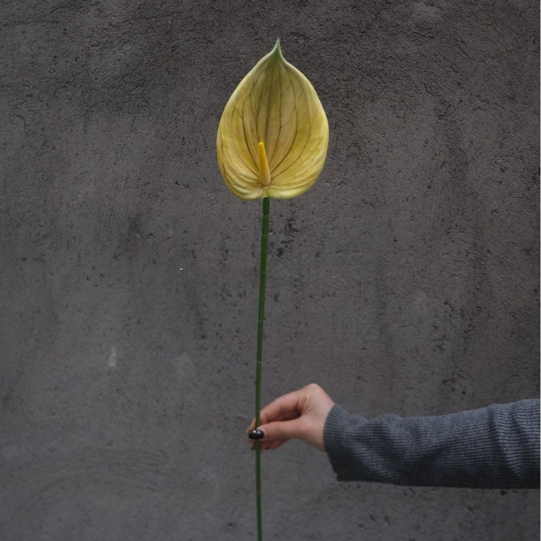 Fresh Yellow Green Artificial Flower | Single Stem for Interior Styling FS-1006B