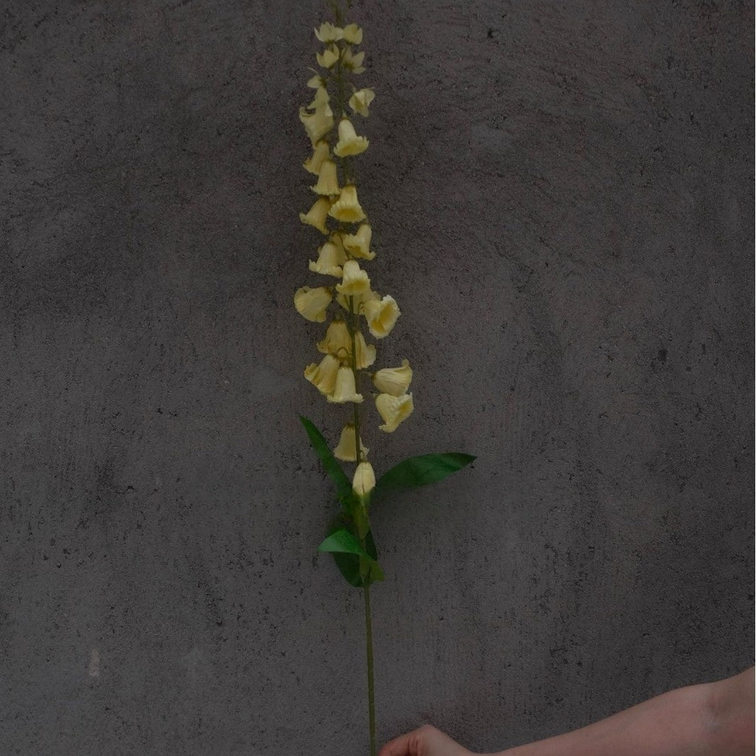 Fresh Yellow Green Artificial Flower | Single Stem for Interior Styling FS-1006B