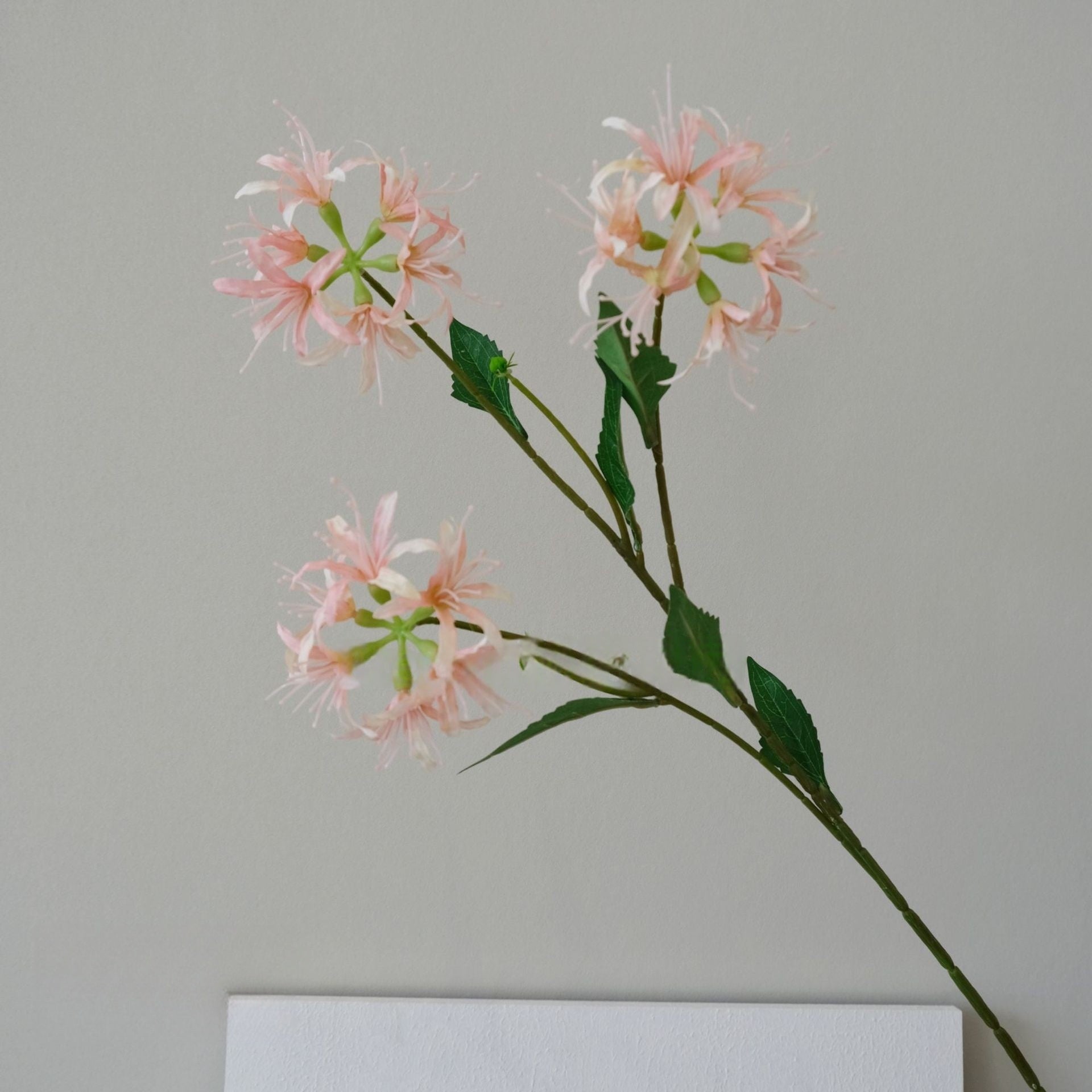 Dusty Pink Floral Stem | Delicate Faux Bloom for Home Styling & Gifts FS-1013B