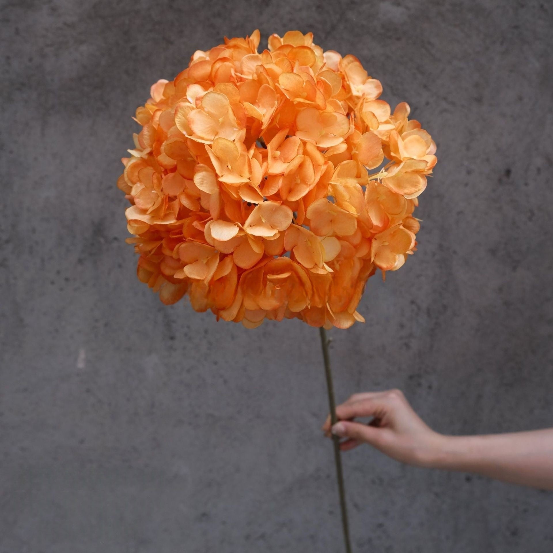 Warm Autumn Orange Silk Flower | Lifelike Faux Stem for Cozy Home Styling FS-1011B