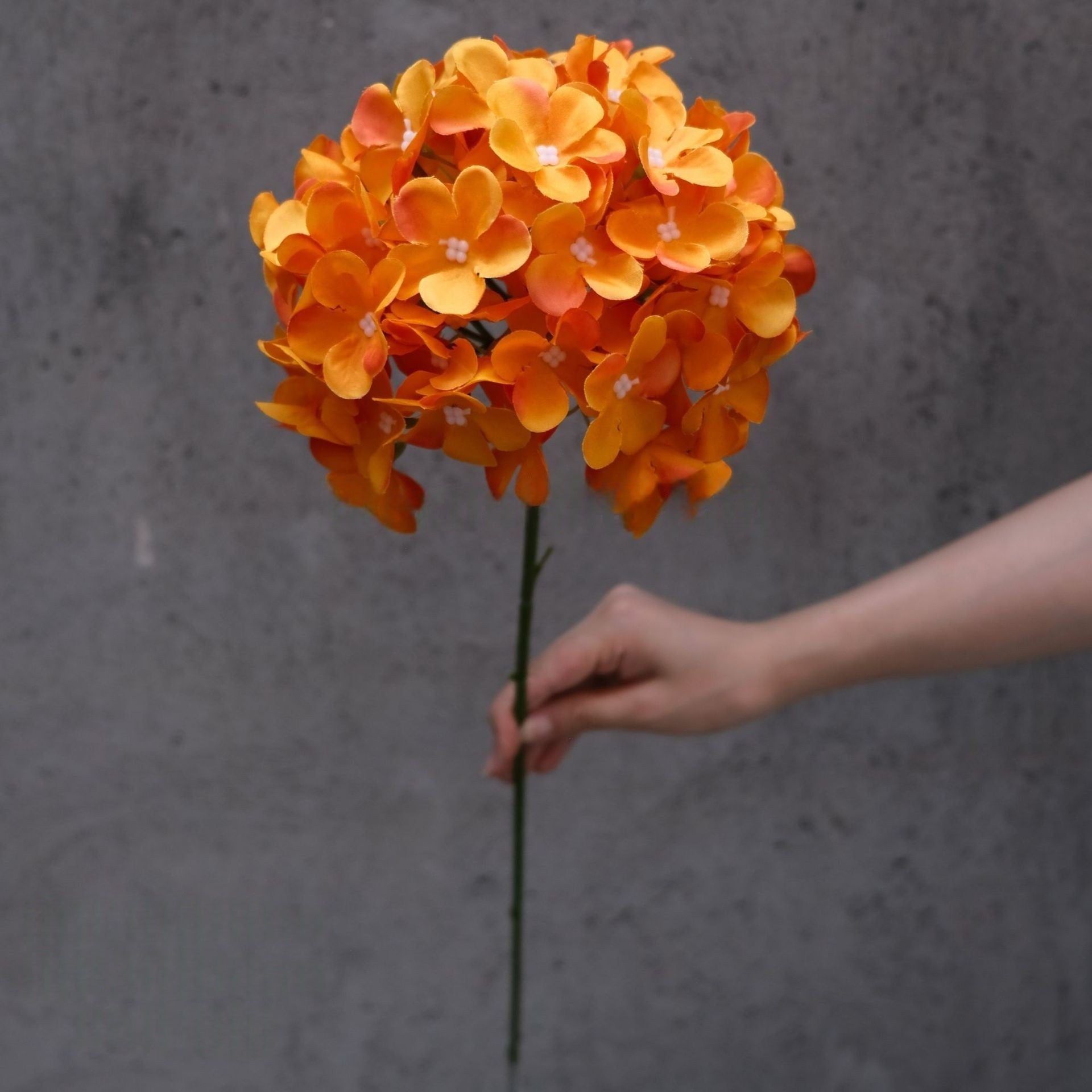 Warm Autumn Orange Silk Flower | Lifelike Faux Stem for Cozy Home Styling FS-1011B