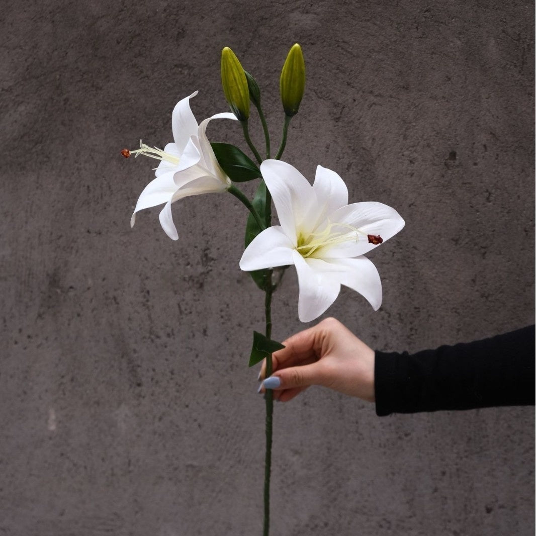 White Single Stem Faux Flowers | Classic Artificial Blooms for Home Decor FS-1003C
