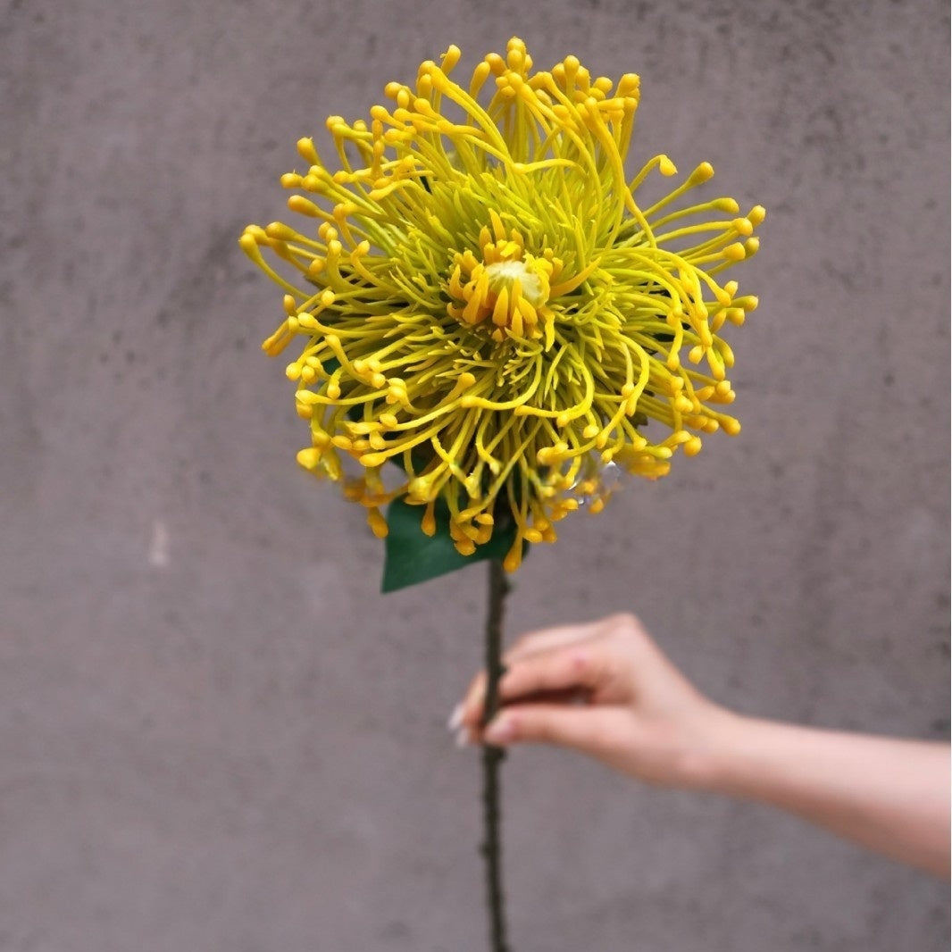 Fresh Yellow Green Artificial Flower | Single Stem for Interior Styling FS-1006B