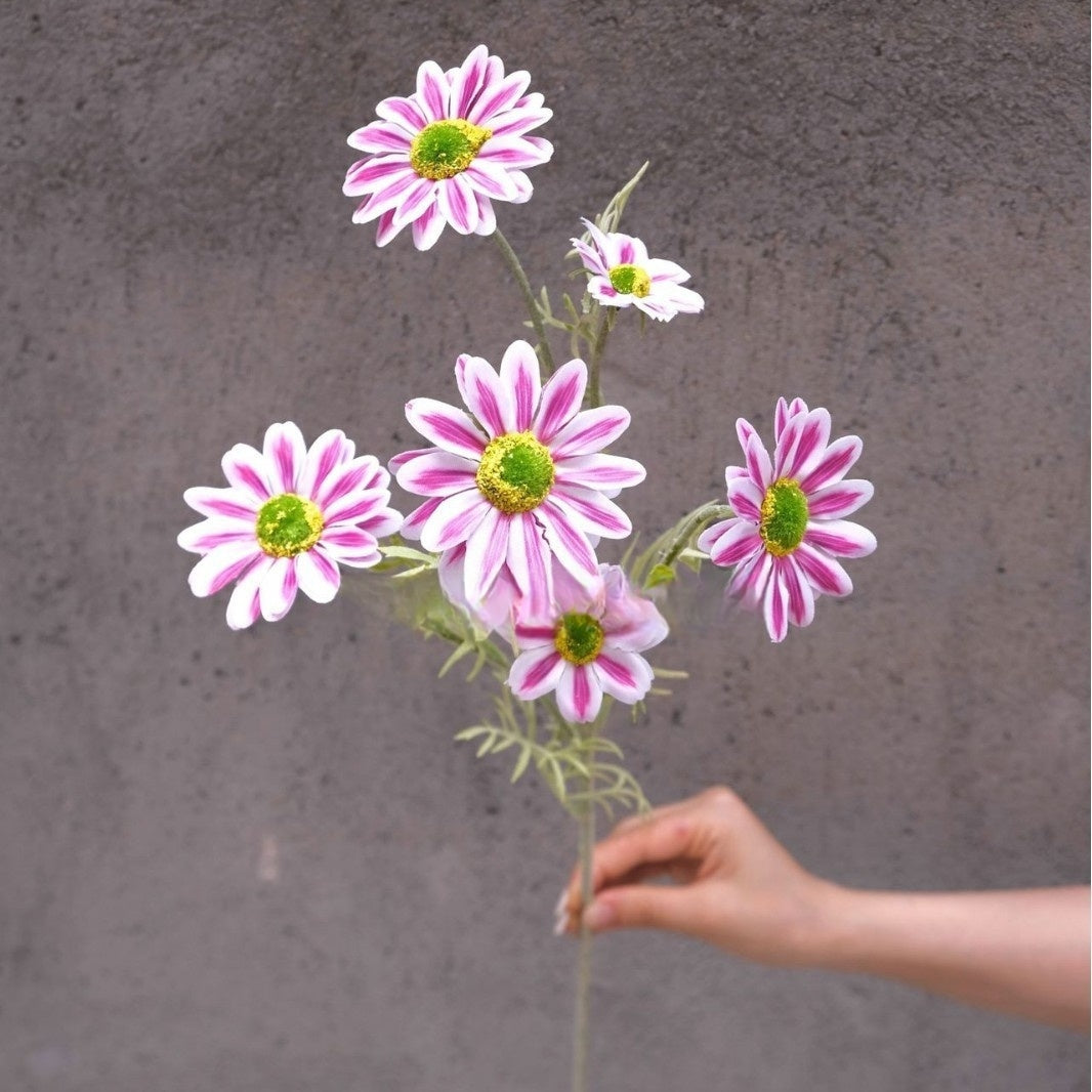 Single Stem Magenta Pink Silk Flower | Faux Floral for Modern Home Decor FS-1010C