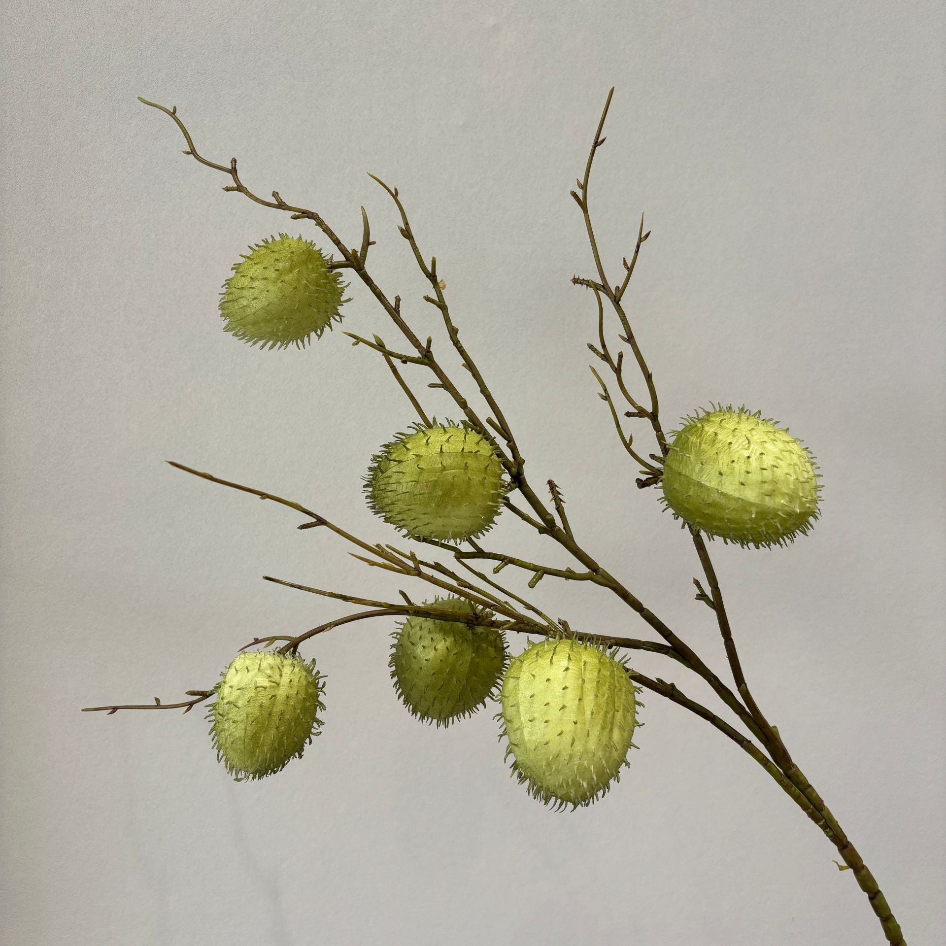 Single Stem Faux Bloom in Yellow Green | Perfect for Home or Office Decor FS-1006C