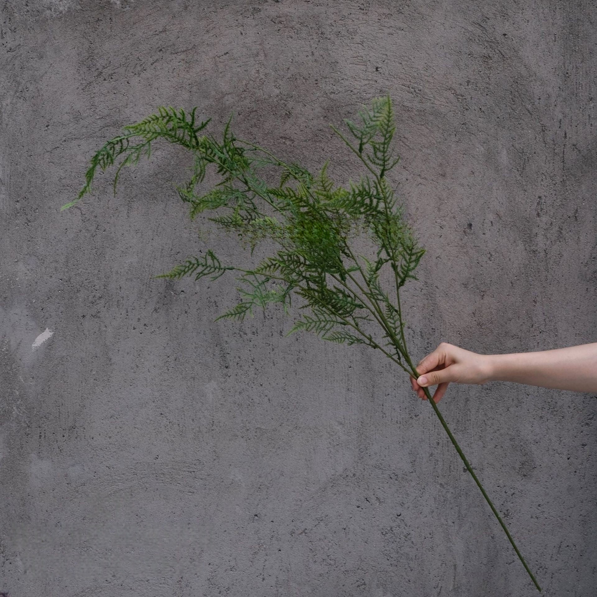 Greenery Stem | Faux Fern Leaf for Wedding Backdrops & Home Styling FS-1001G
