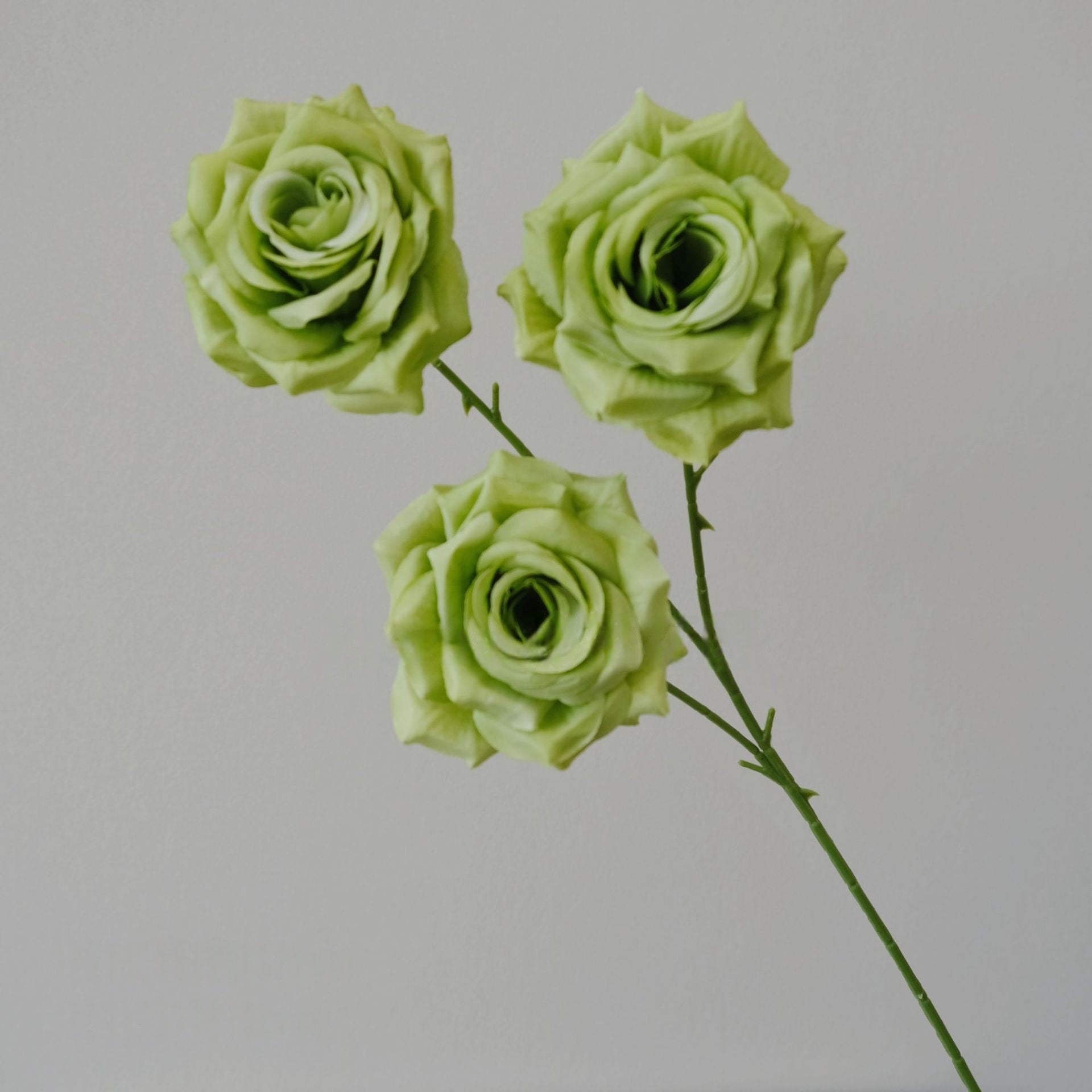Rustic Artificial Green Plant Stem | Perfect for Woodland Wedding or Shelf Decor FS-1001H