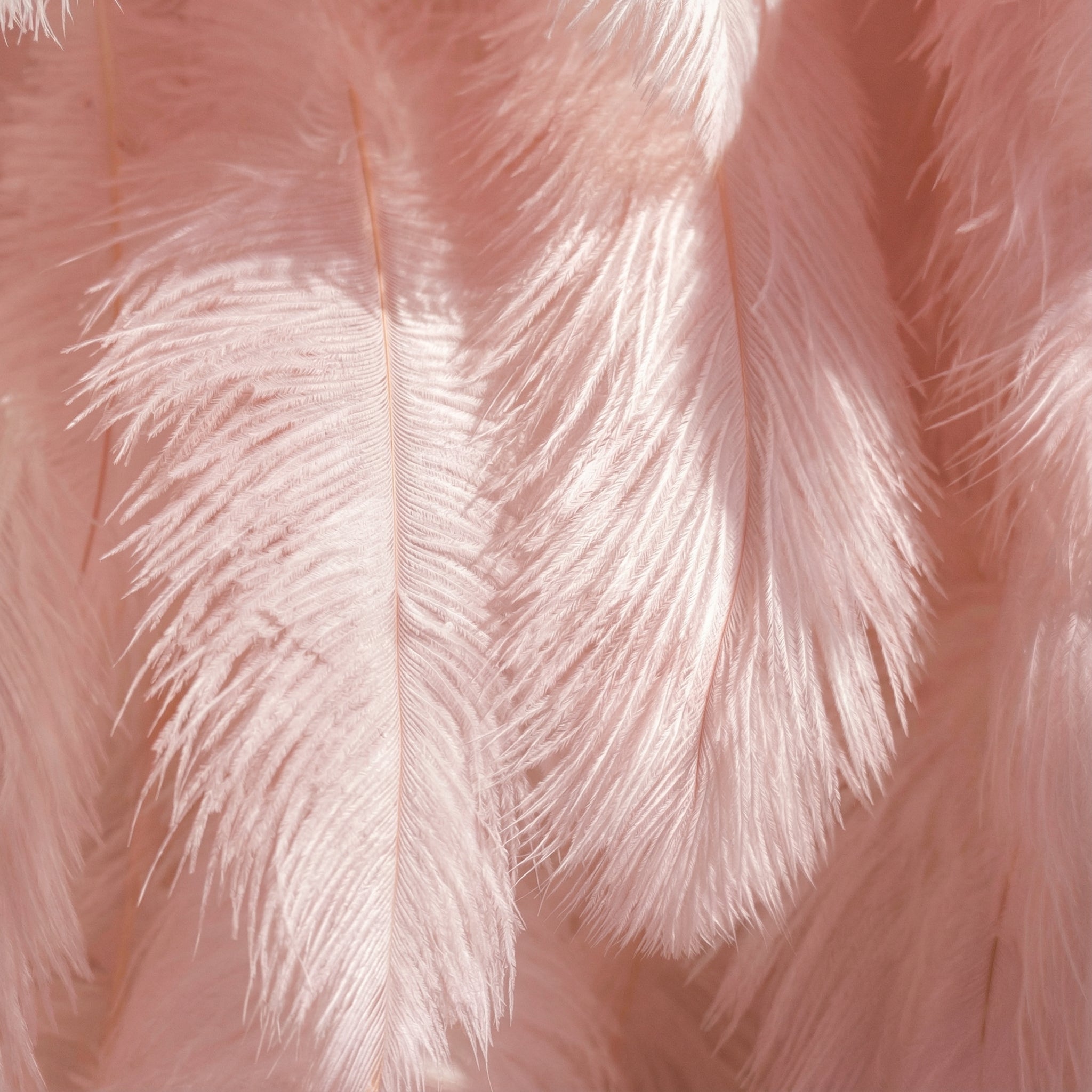 Fondo de Pared Elegante de Plumas de Avestruz Blancas - Tela Enrollable para Pared - Decoración para Fiesta Nupcial - Lugares de Boda Celebración Pared Floral-VF-164