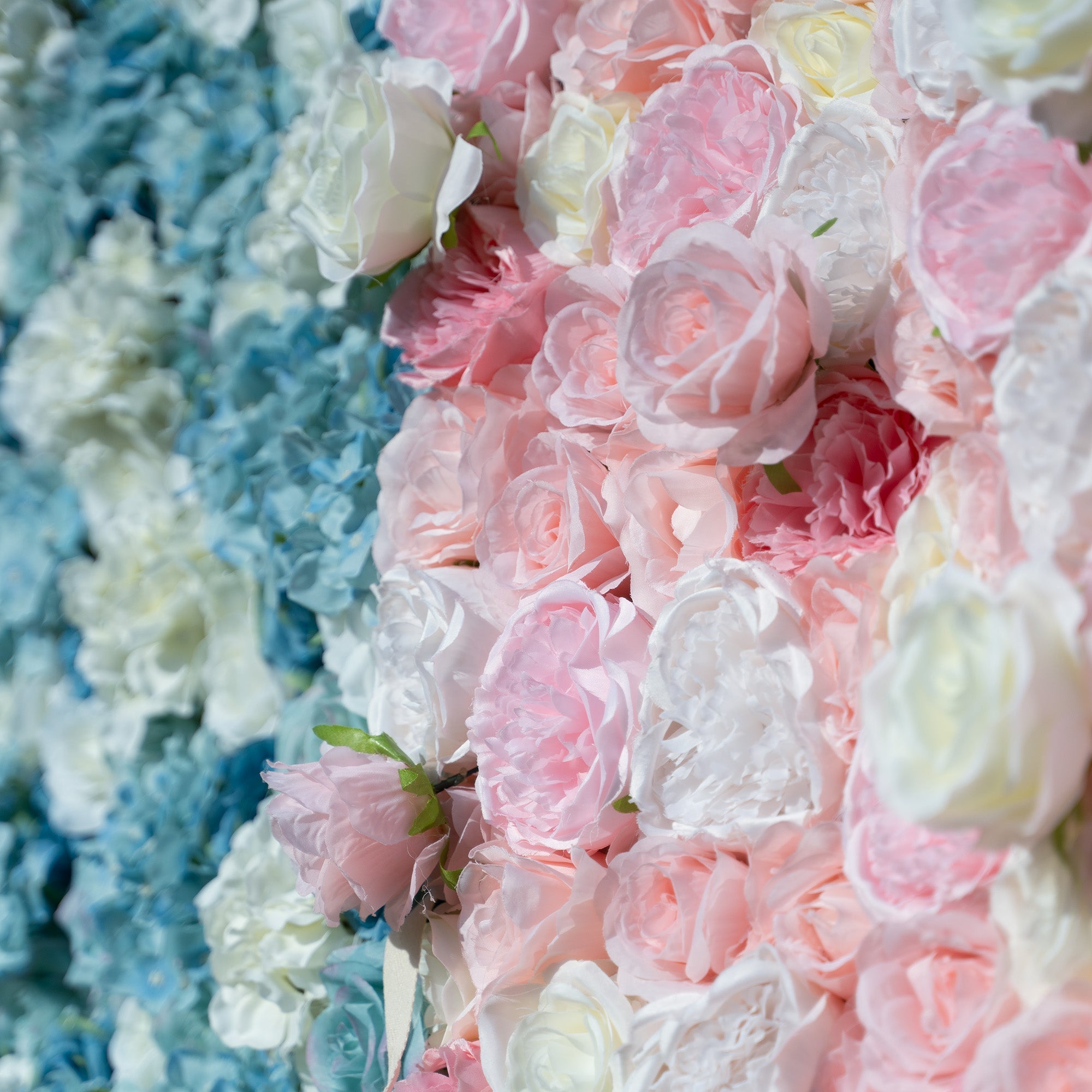 Baby Shower & Gender Reveal Party Flower Wall Backdrop - Blue & Pink Roll-Up Fabric Flower Decorations -Celebration Decor