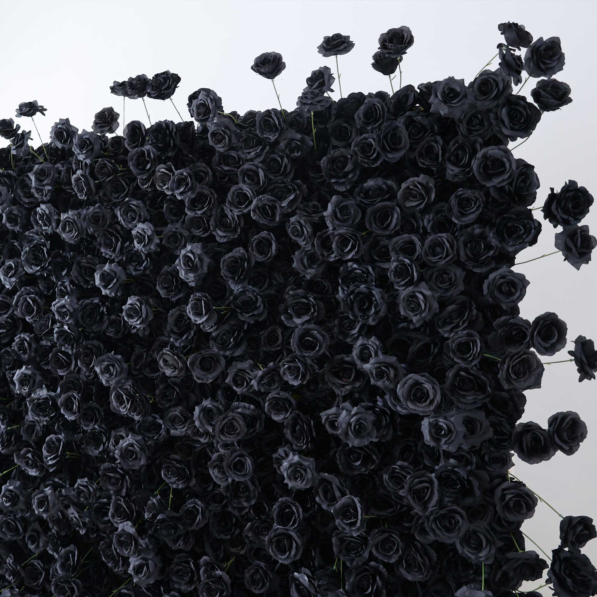 Handcrafted 5D artificial flower wall backdrop with deep black roses, set against a light background. Perfect for weddings, themed events, and stylish photoshoots, creating a bold and mysterious setting VF-404-3-4