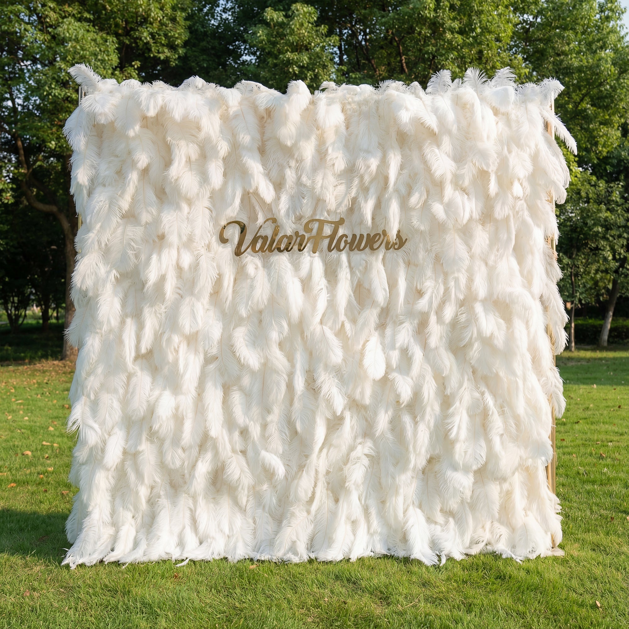 White feathered backdrop with 'ValarFlowers' branding on a grassy outdoor setting