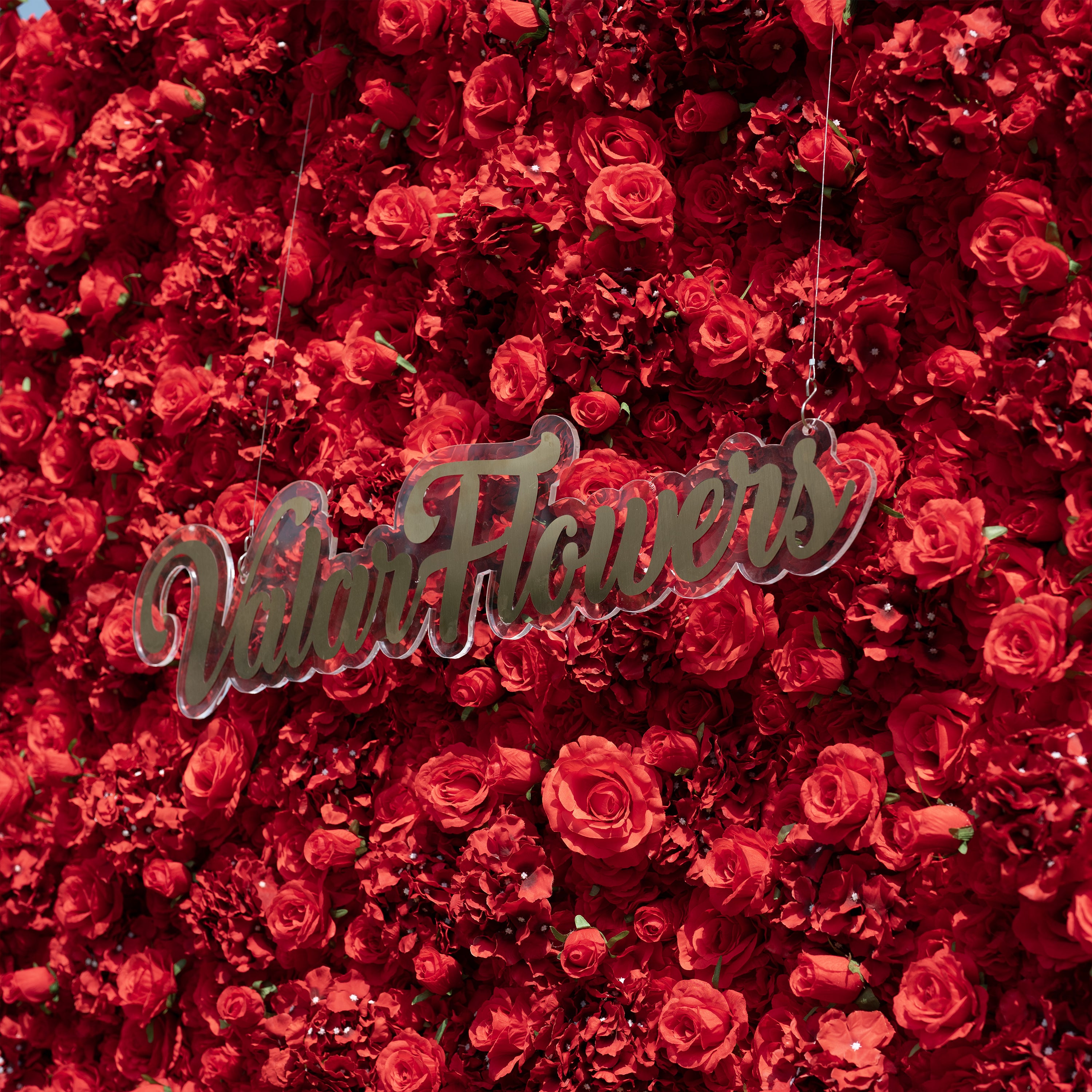 5D weiße Rose Roll-Up Blume Wand Hintergrund für Hochzeit &amp; Party Feier Dekor VF-435 