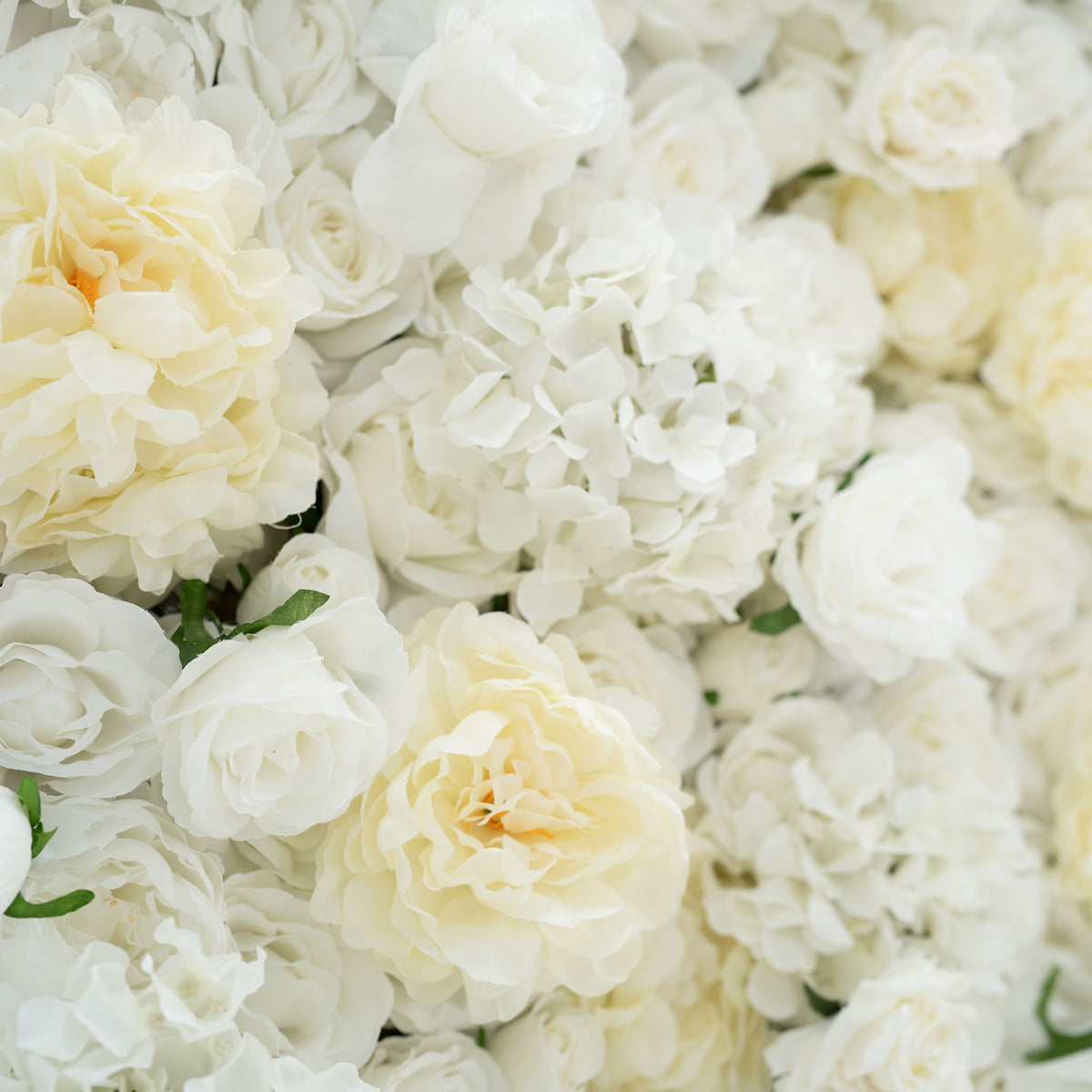 Valar Flower Roll Up Fabric Artificial White Flower Wall Wedding Backdrop, Decoración Floral para Fiesta, Fotografía de Eventos VF-052